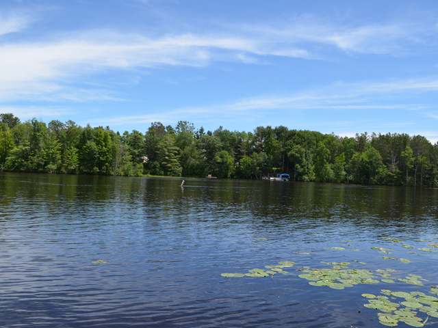 N10536 North Pine Road Tomahawk, WI 54487 - Photo 5 of 30 Gallery Image 5