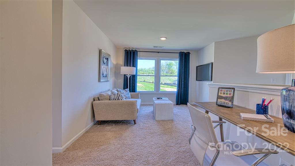 150 Creekview Road Hendersonville, NC 28792 - Photo 26 of 43 Gallery Image 26