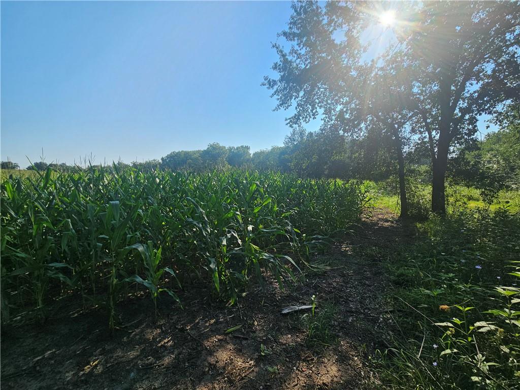 Southeast Adams Road Maysville, MO 64469 - Photo 5 of 12 Gallery Image 5