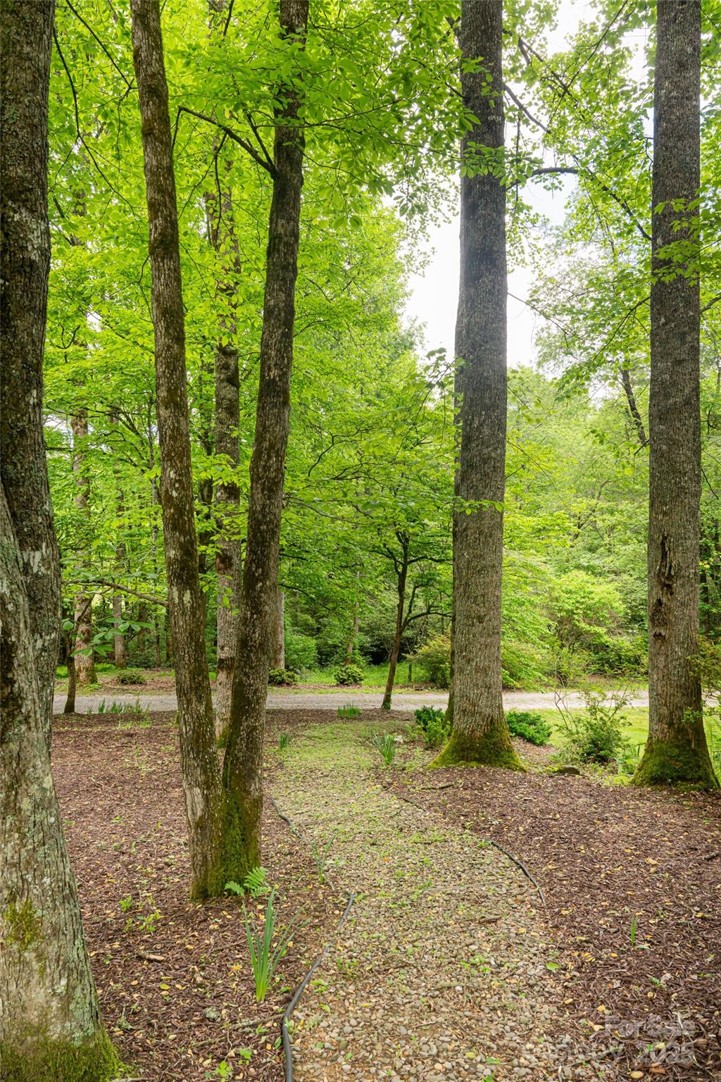 380 Old Powell Road Brevard, NC 28712 - Photo 42 of 47 Gallery Image 42