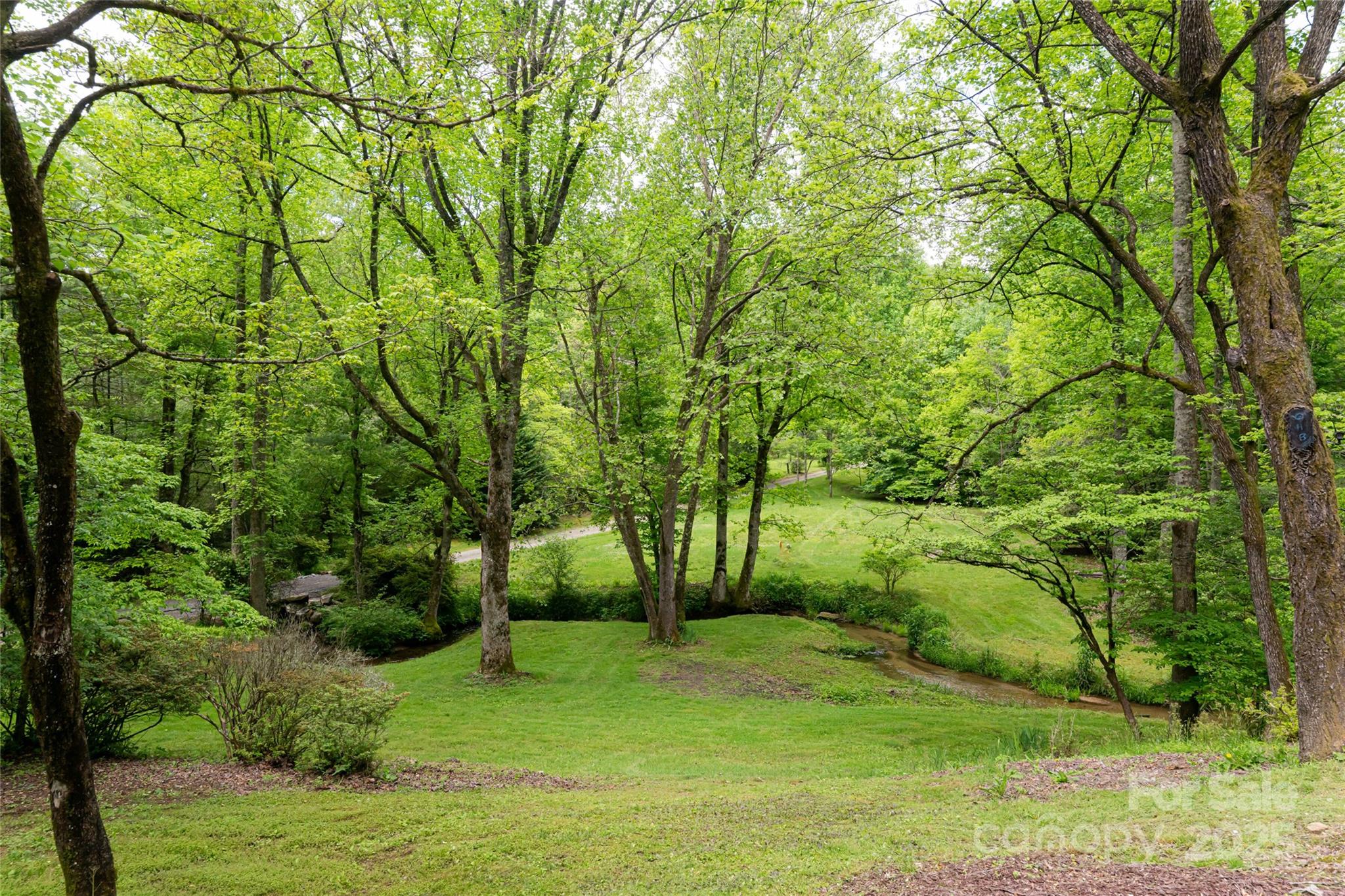 380 Old Powell Road Brevard, NC 28712 - Photo 44 of 47 Gallery Image 44