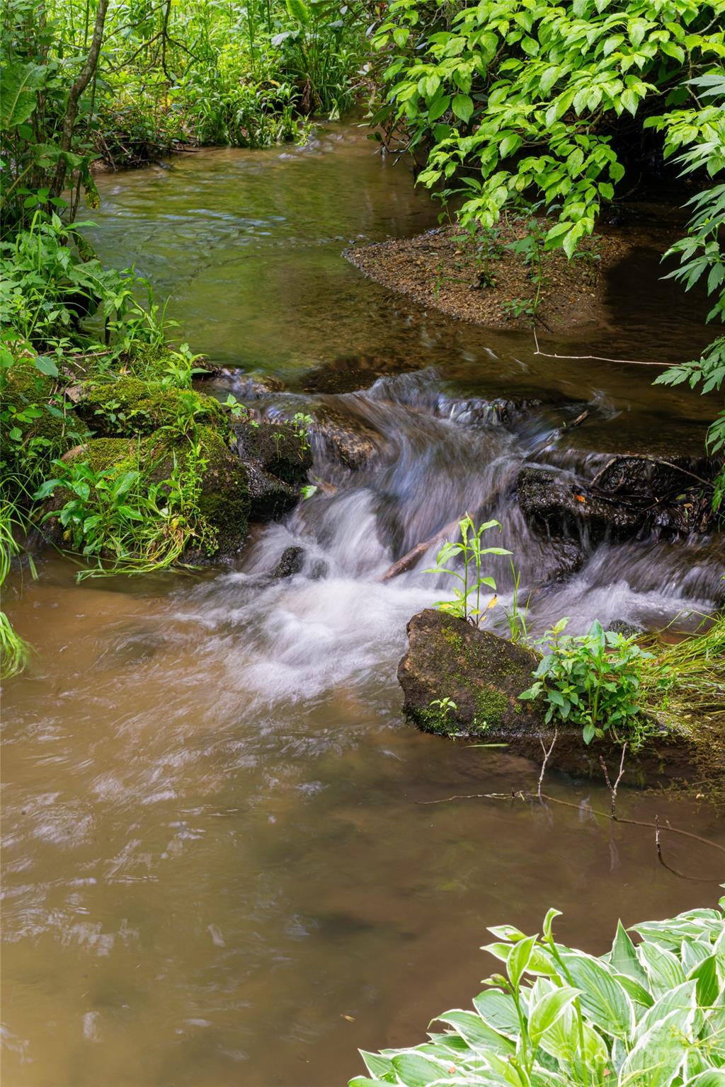 380 Old Powell Road Brevard, NC 28712 - Photo 45 of 47 Gallery Image 45