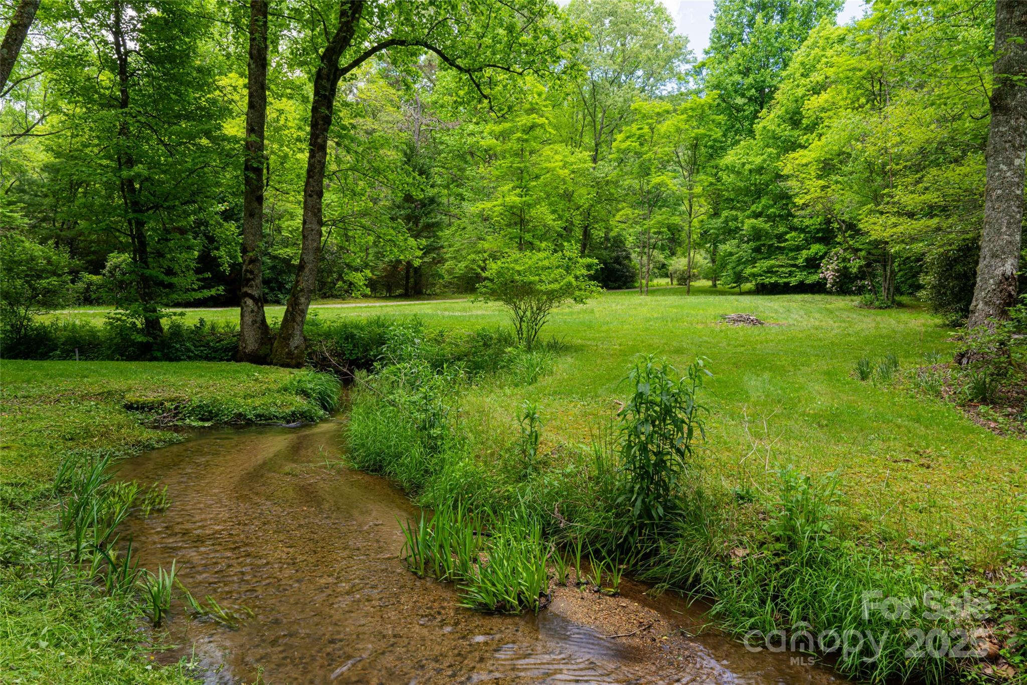 380 Old Powell Road Brevard, NC 28712 - Photo 46 of 47 Gallery Image 46