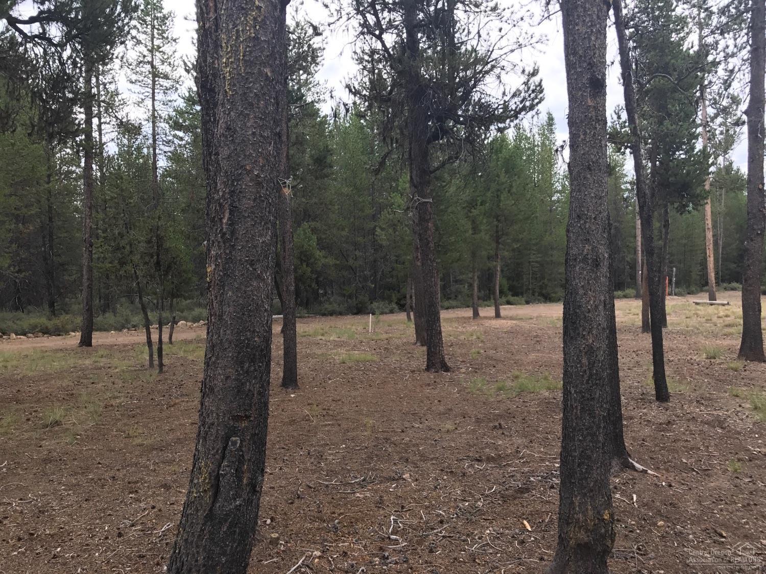 100 Nf 86 Road Chemult, OR 97731 - Photo 5 of 19 Additional Photo
