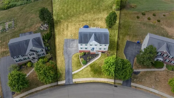 aerial view of a fireplace with plants