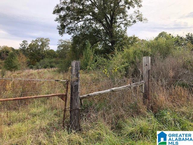 0 Hackney Street, Unit 8 29 ACRES Lincoln, AL 35096 - Photo 6 of 18
