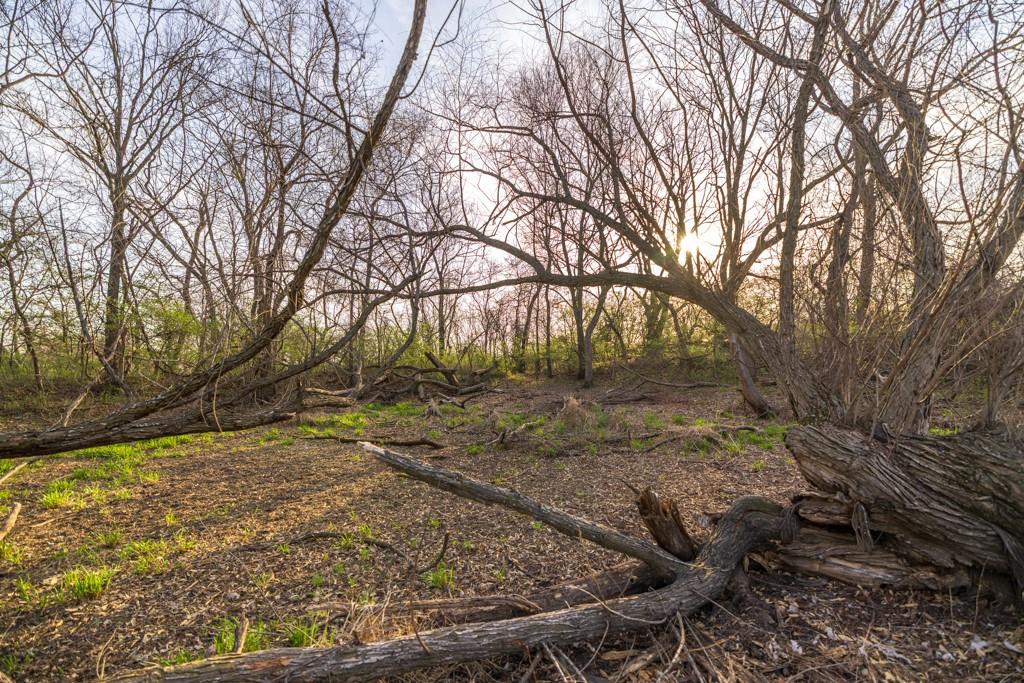 Ruth Ewing Road Liberty, MO 64068 - Photo 27 of 49