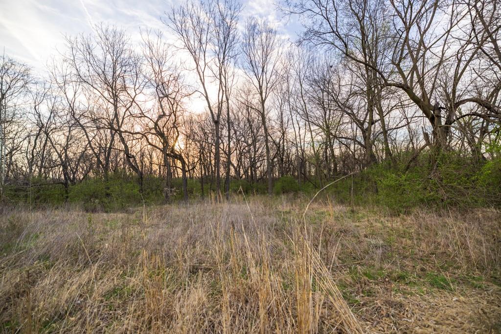 Ruth Ewing Road Liberty, MO 64068 - Photo 35 of 49