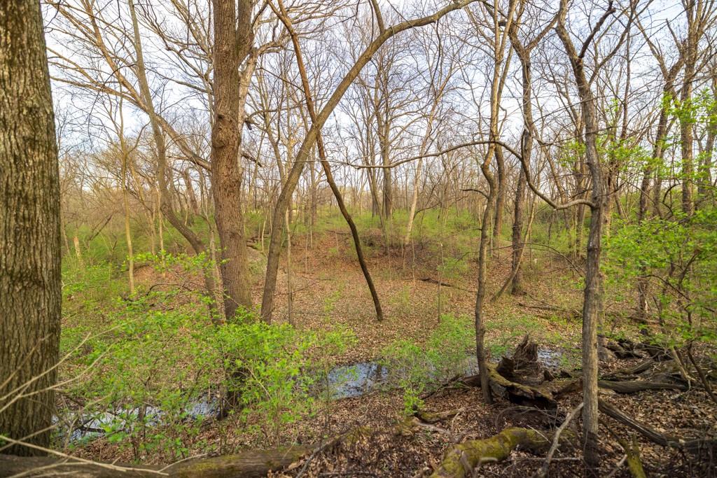 Ruth Ewing Road Liberty, MO 64068 - Photo 37 of 49