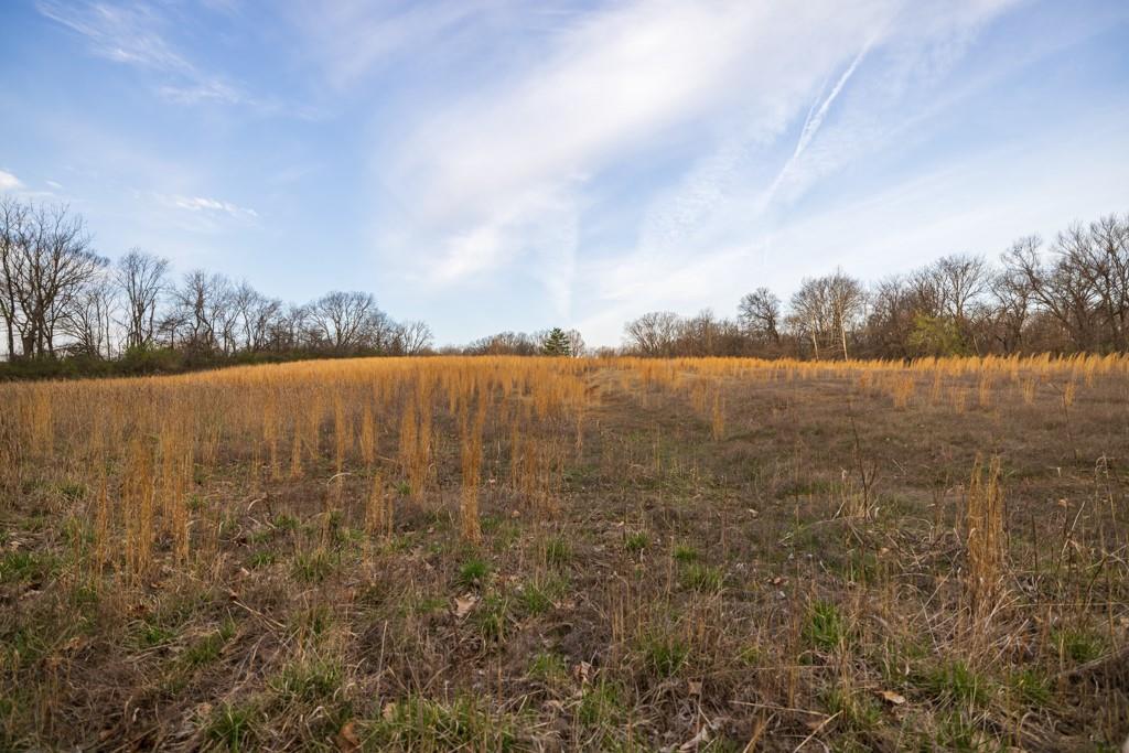 Ruth Ewing Road Liberty, MO 64068 - Photo 39 of 49