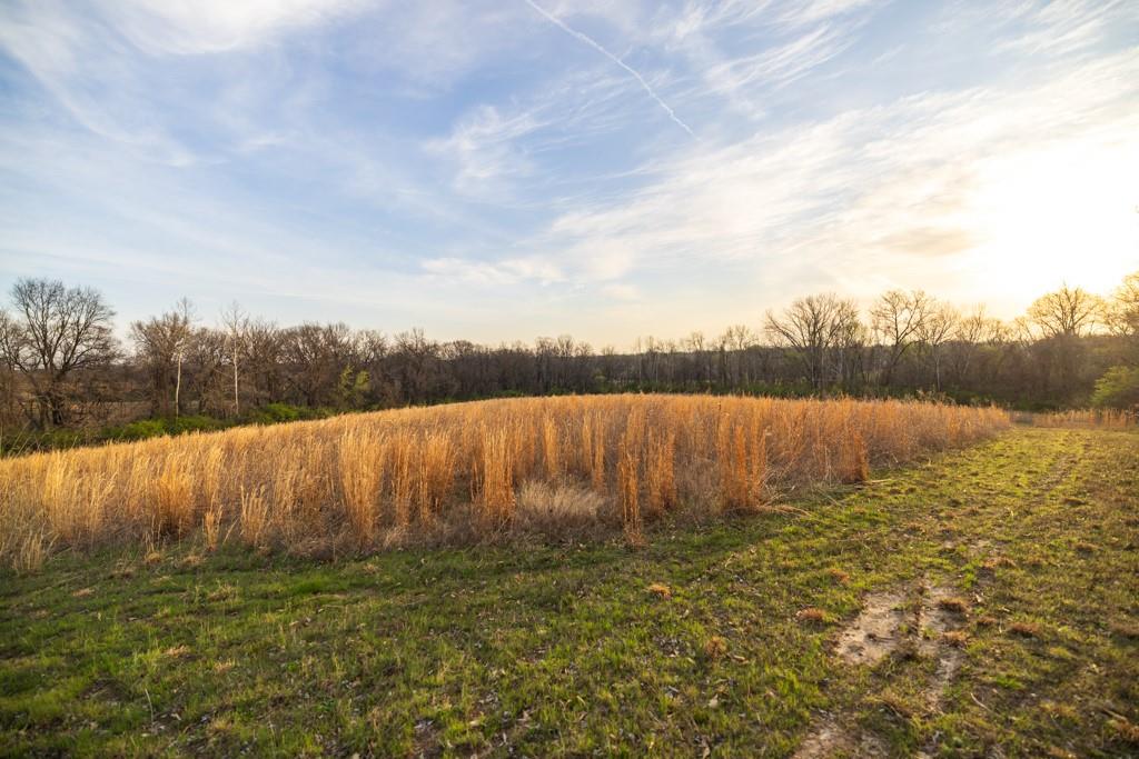 Ruth Ewing Road Liberty, MO 64068 - Photo 41 of 49