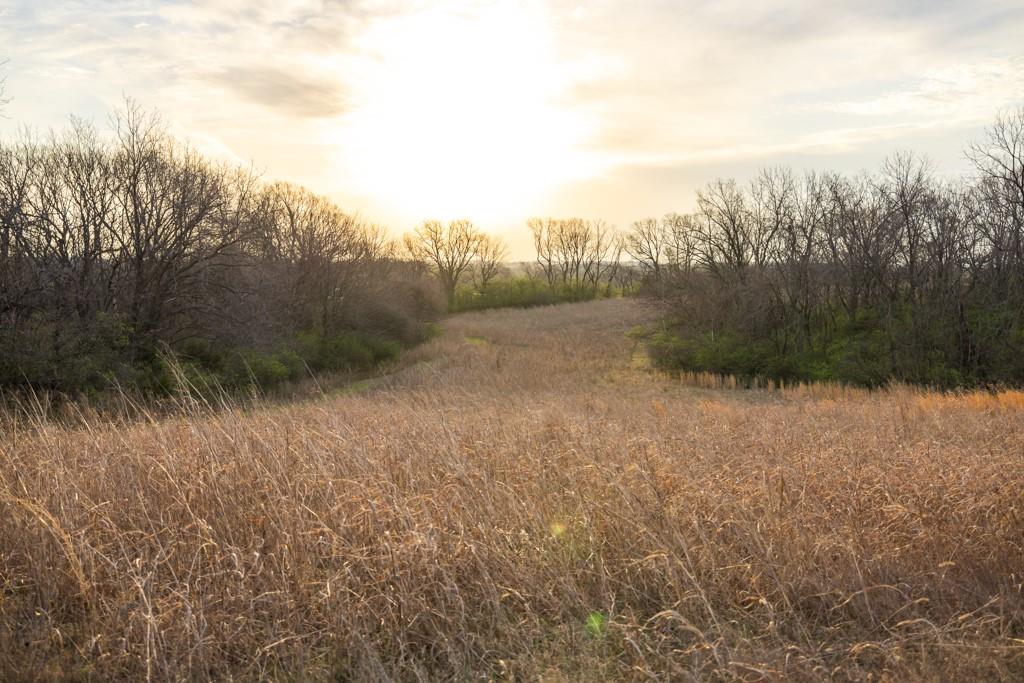 Ruth Ewing Road Liberty, MO 64068 - Photo 42 of 49