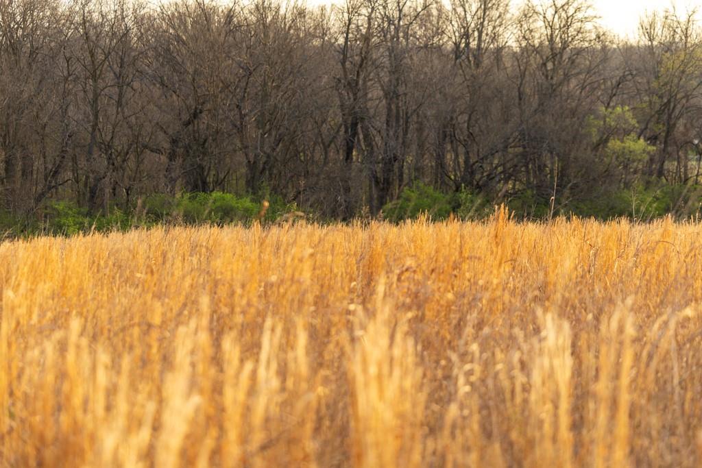 Ruth Ewing Road Liberty, MO 64068 - Photo 47 of 49