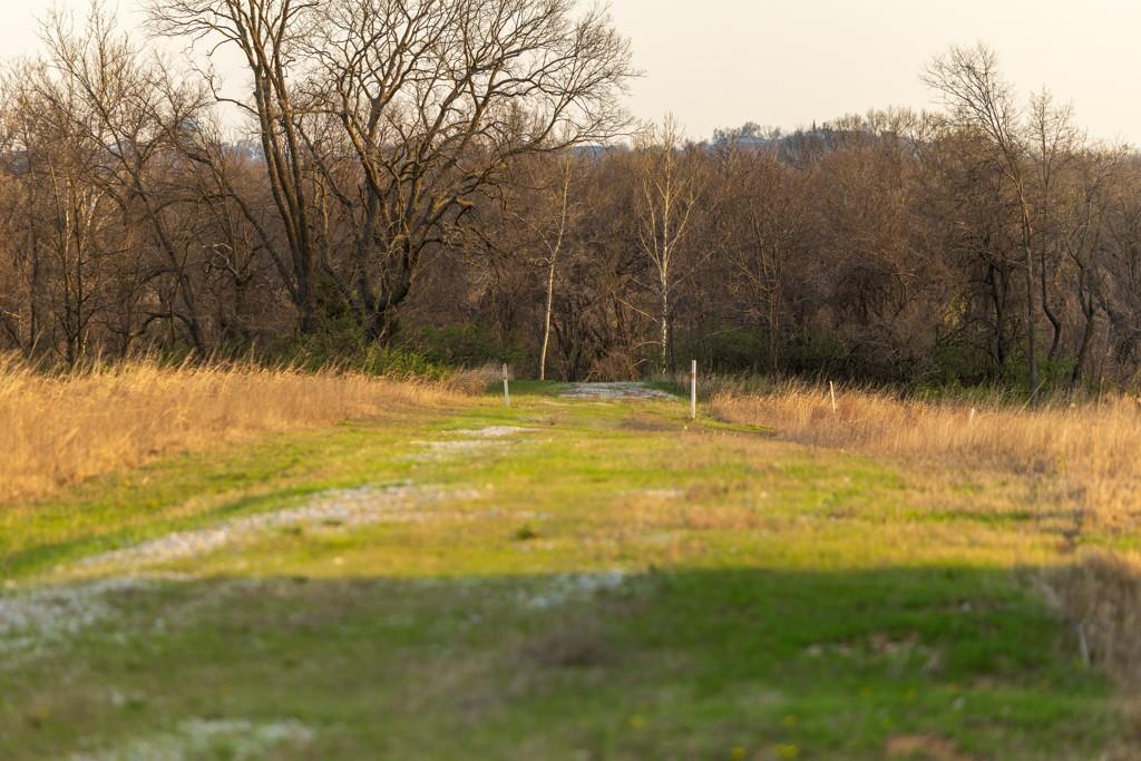 Ruth Ewing Road Liberty, MO 64068 - Photo 48 of 49