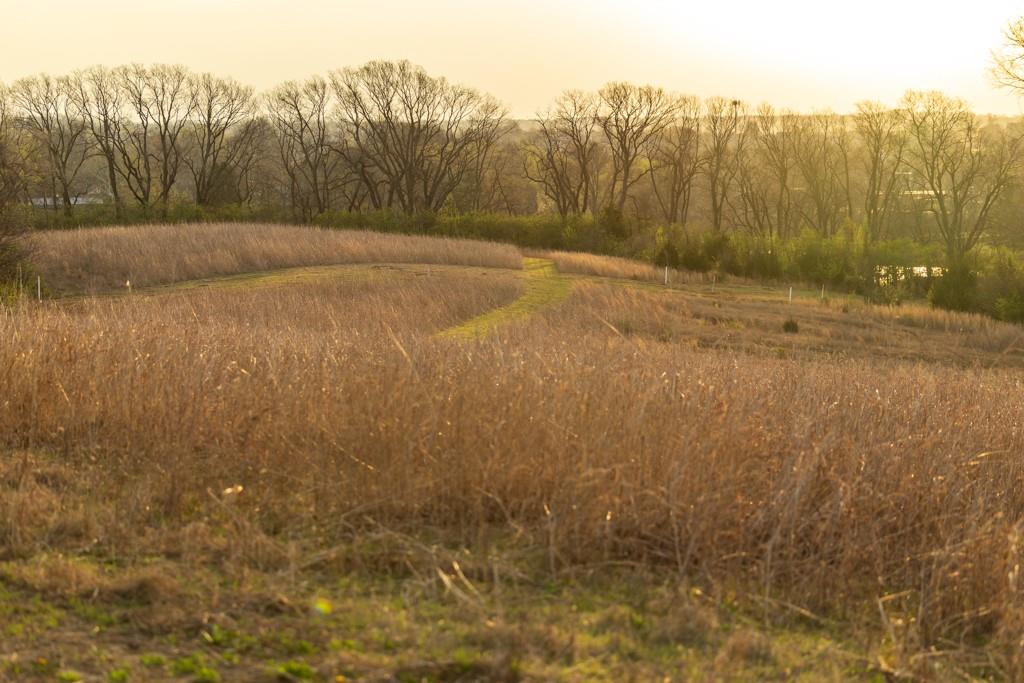 Ruth Ewing Road Liberty, MO 64068 - Photo 49 of 49