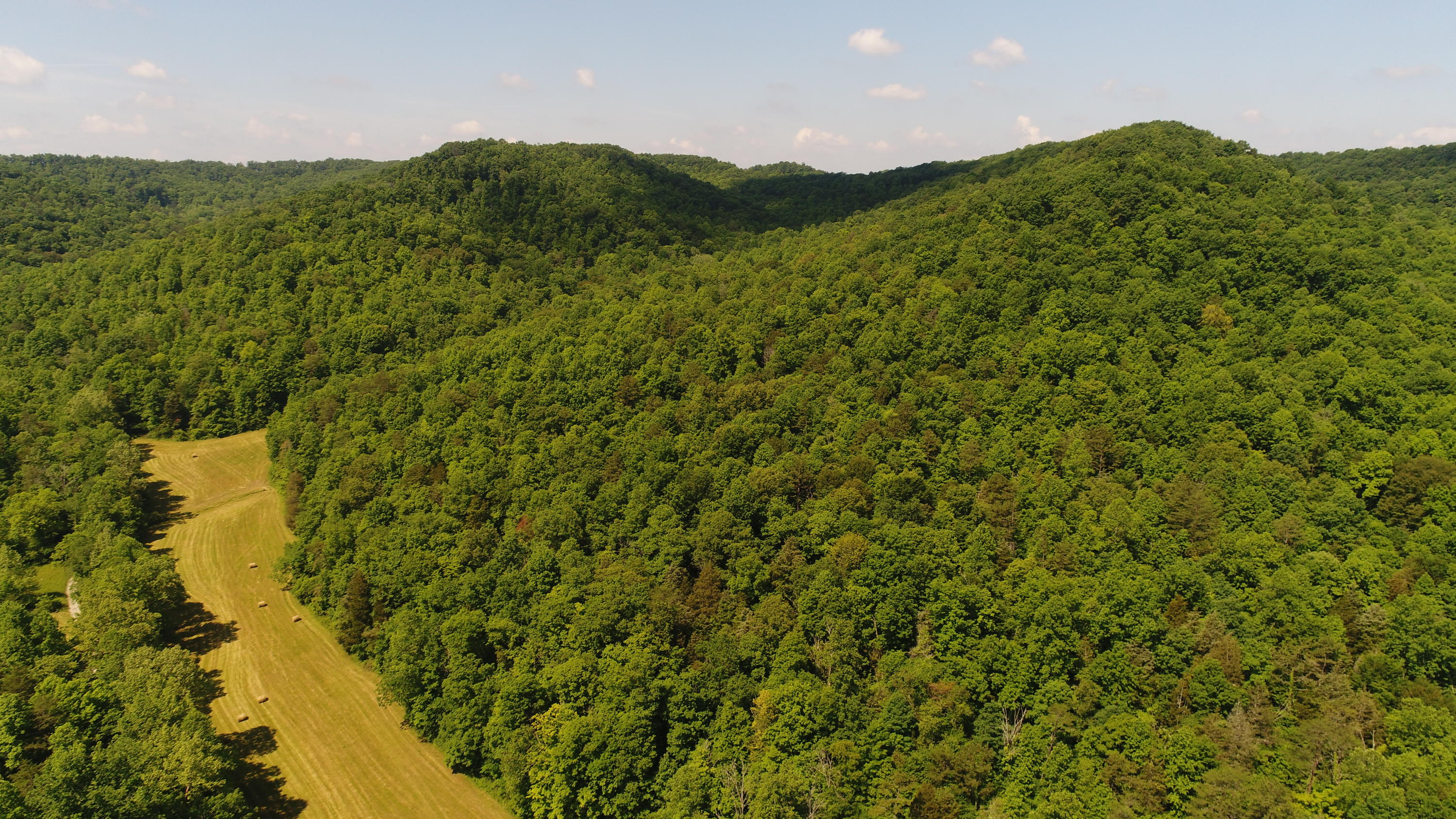 500 Boone Cromer Road Mount Vernon, KY 40456 - Photo 14 of 33 DJI_0555
