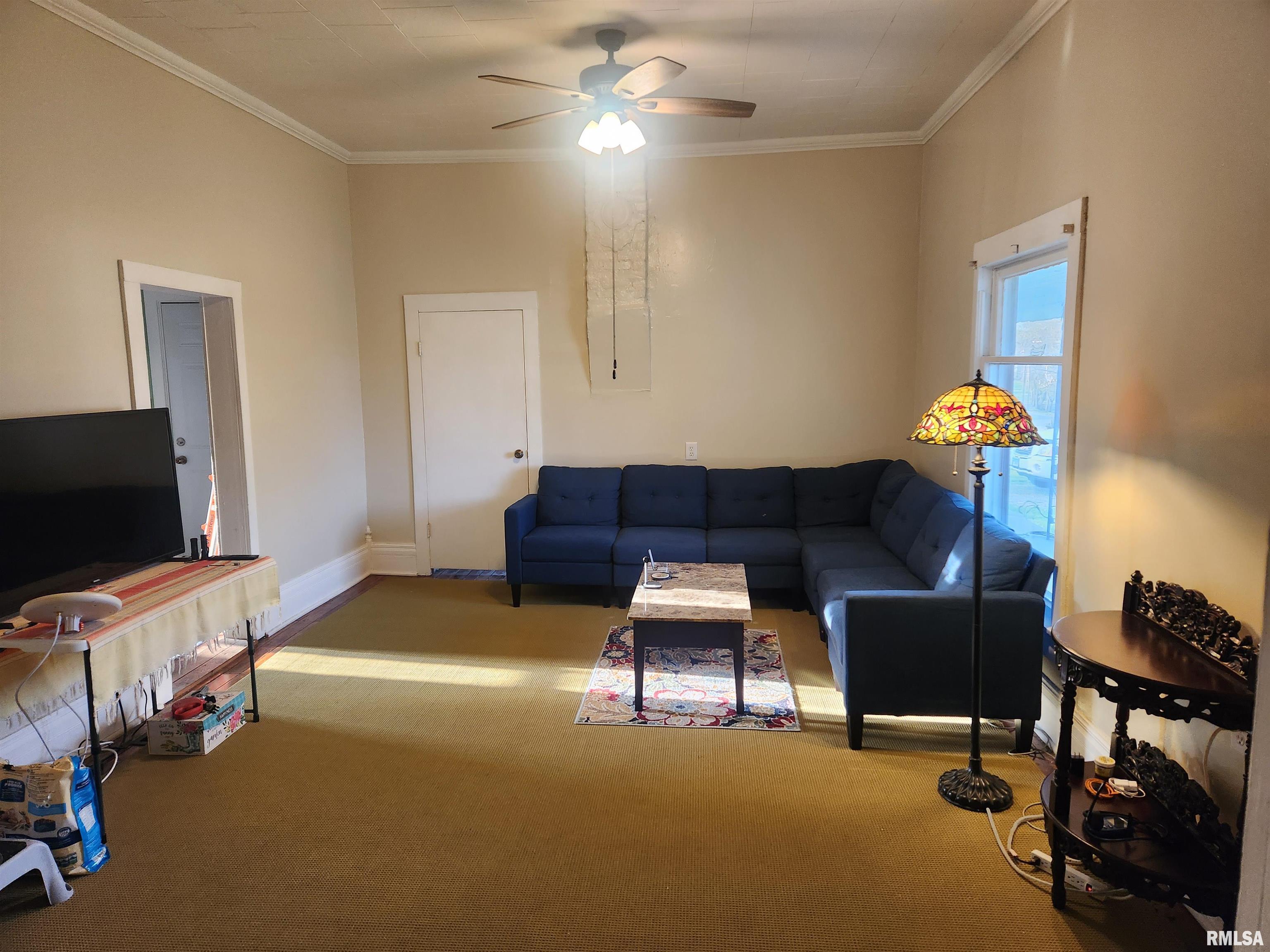 508 North Line Street Creal Springs, IL 62922 - Photo 3 of 20