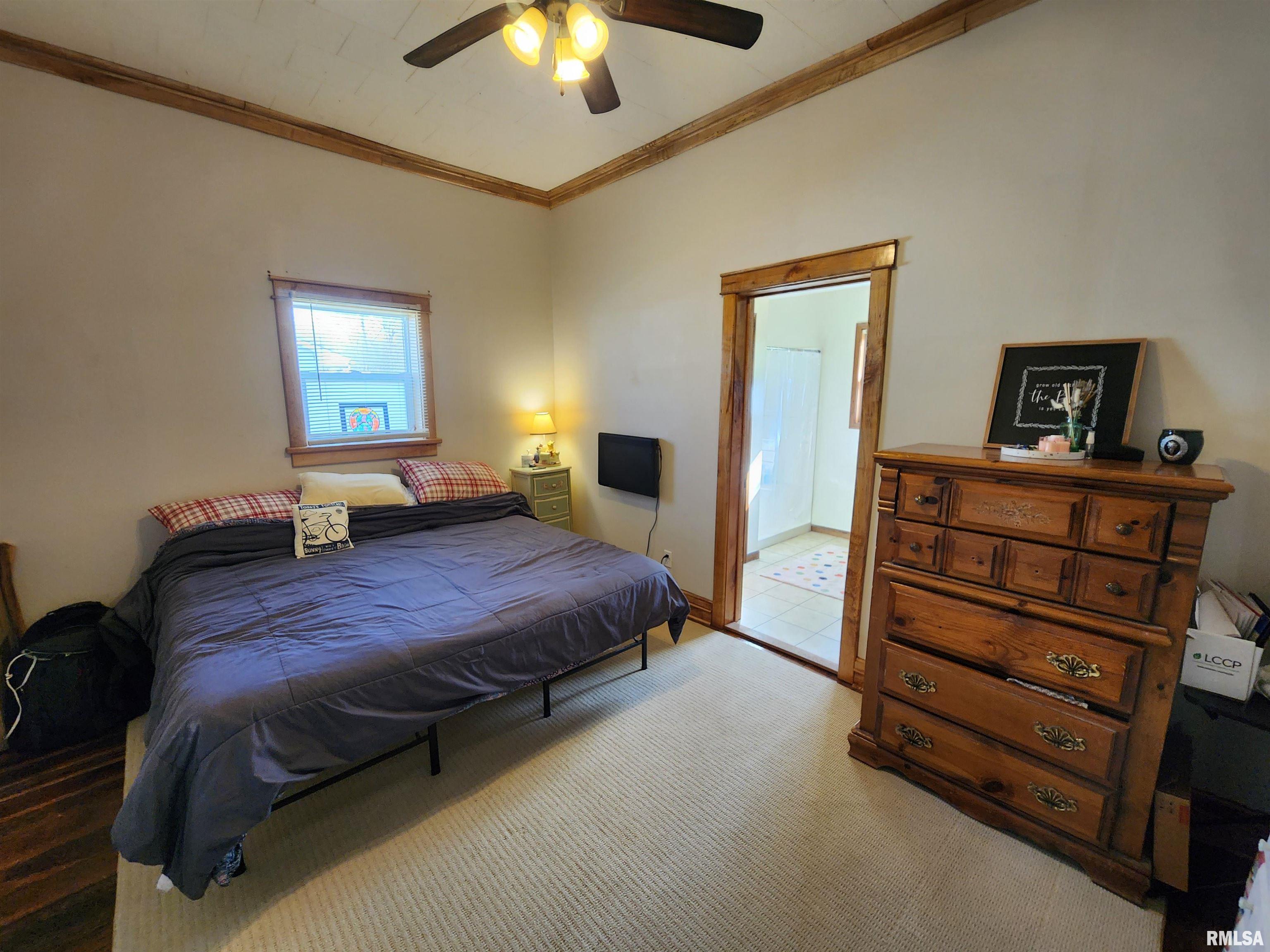 508 North Line Street Creal Springs, IL 62922 - Photo 7 of 20