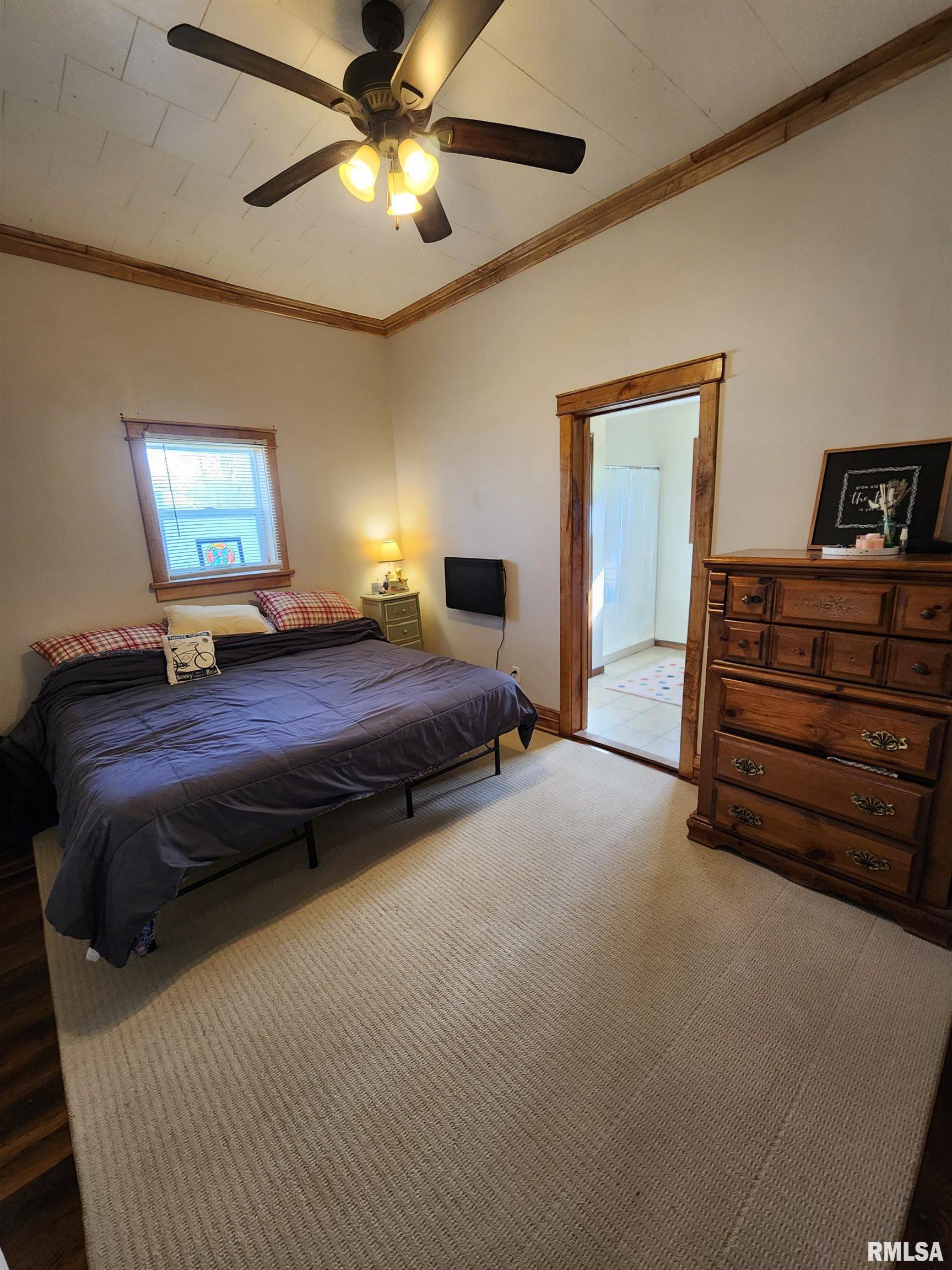 508 North Line Street Creal Springs, IL 62922 - Photo 8 of 20