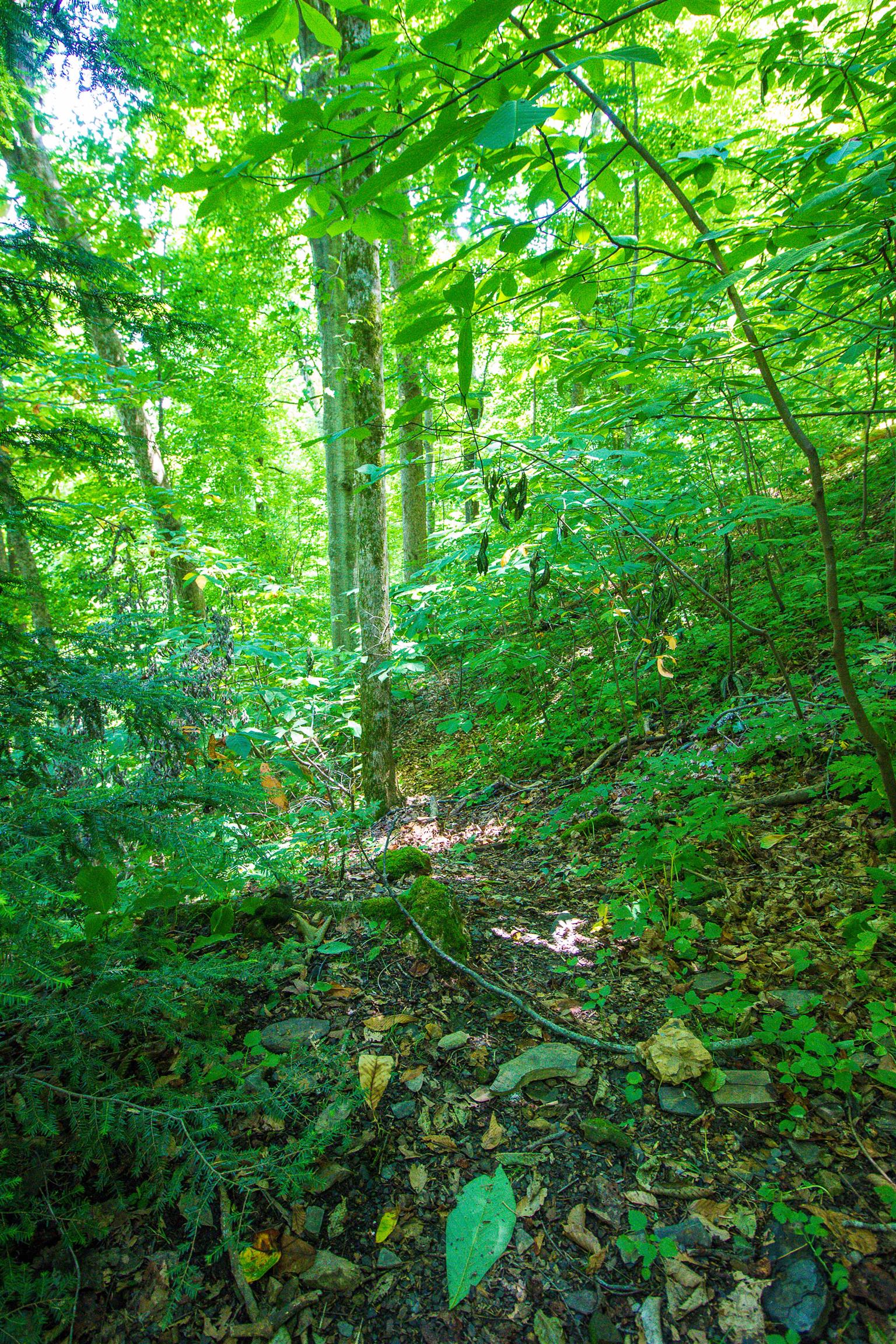 346 Puckett Point Road Smithville, TN 37166 - Photo 7 of 30 Gallery Image 7