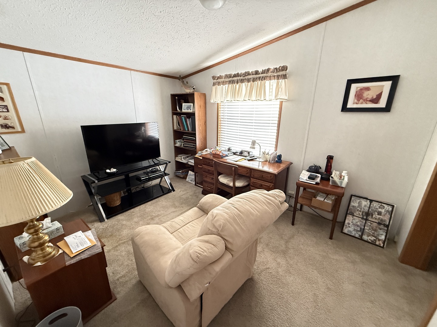 4 Cynthia Lane Beecher, IL 60401 - Photo 11 of 20 a living room with furniture and a flat screen tv