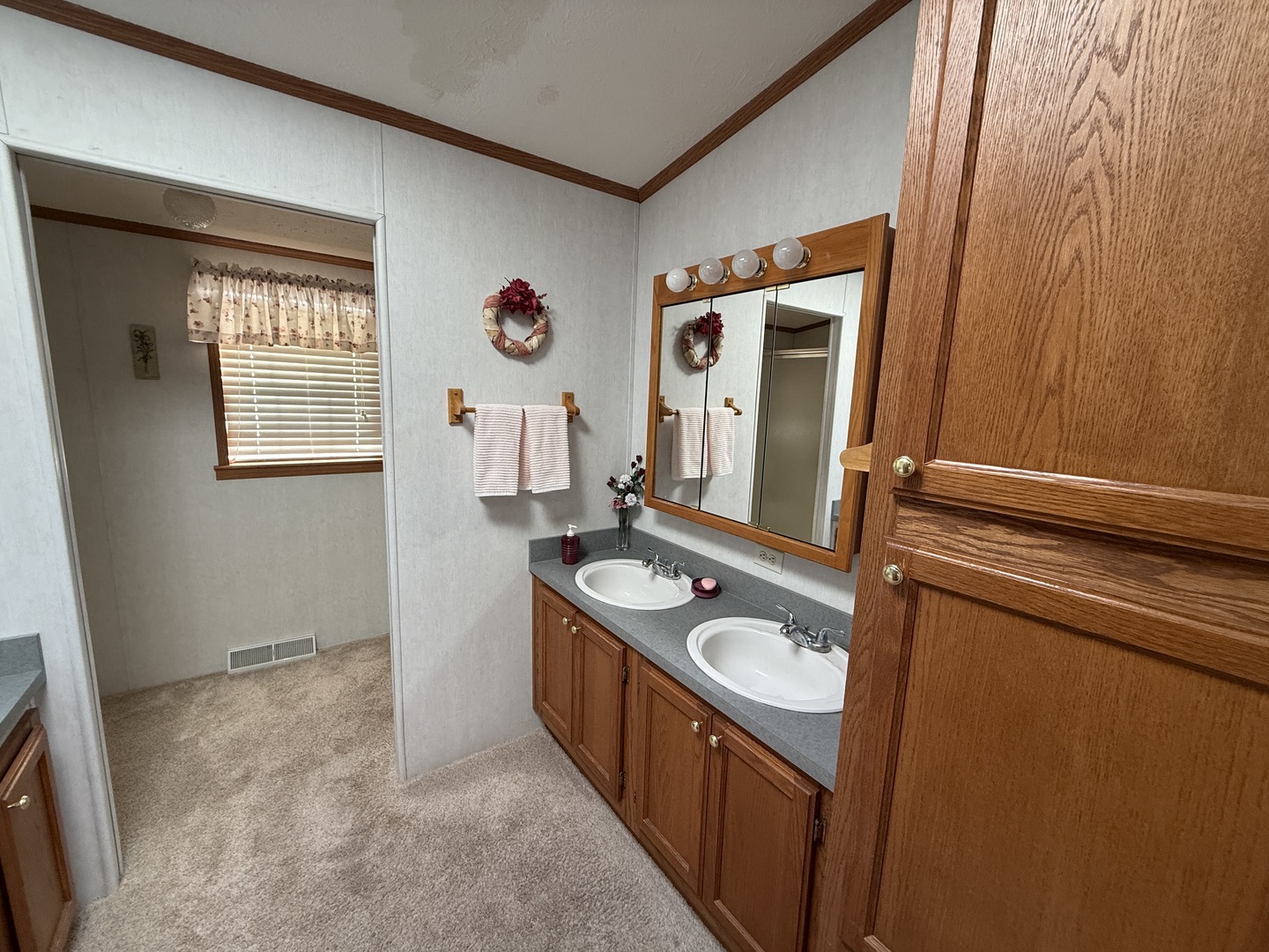 4 Cynthia Lane Beecher, IL 60401 - Photo 17 of 20 a bathroom with a sink a mirror and a window