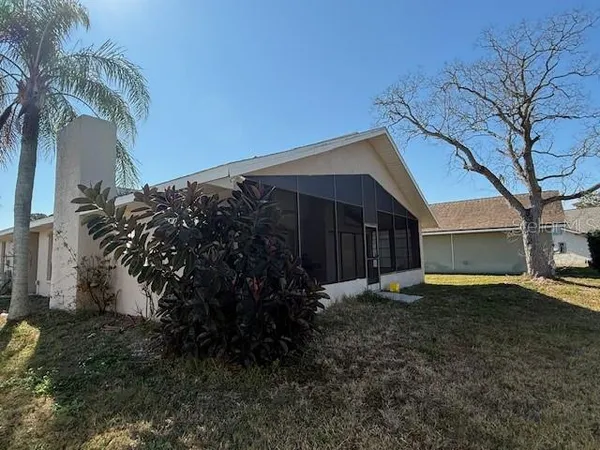 a view of backyard of house