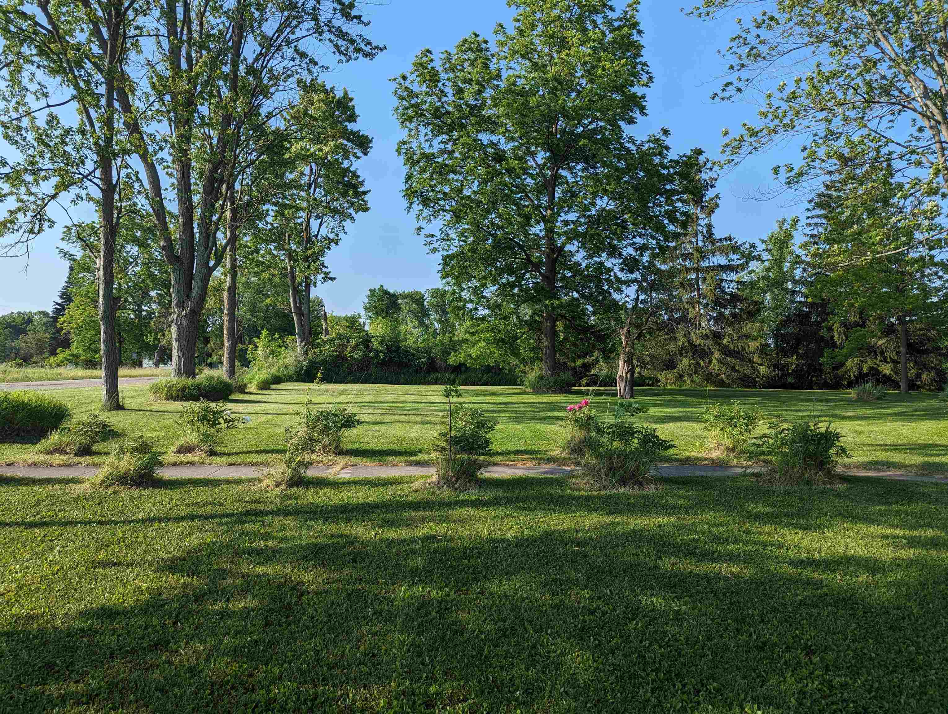 2297 Lentner Road Turner, MI 48765 - Photo 11 of 31 Gallery Image 11