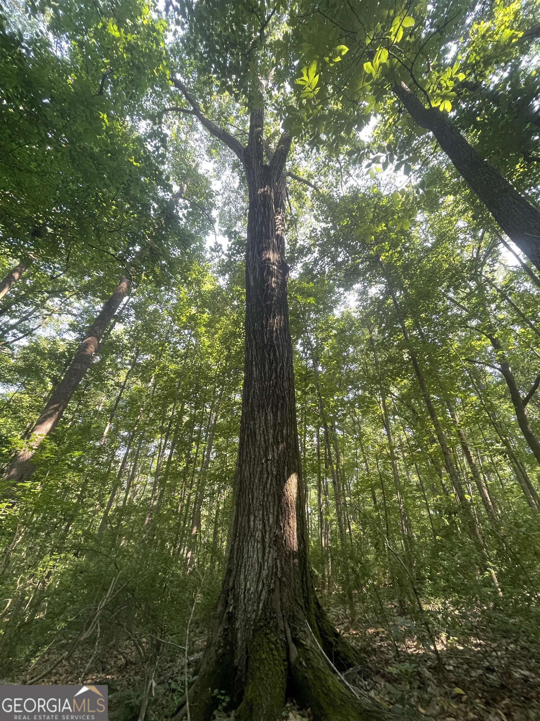 0 High Point Trail South Fulton, GA 30331 - Photo 11 of 12