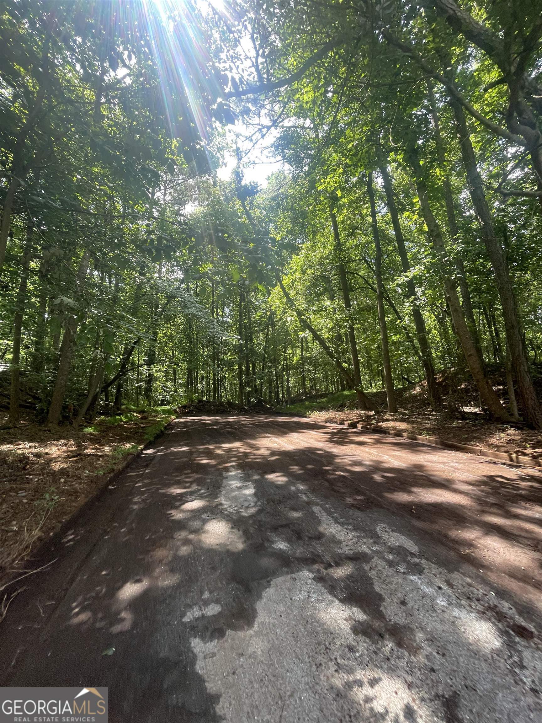 0 High Point Trail South Fulton, GA 30331 - Photo 12 of 12 a view of a yard with a tree