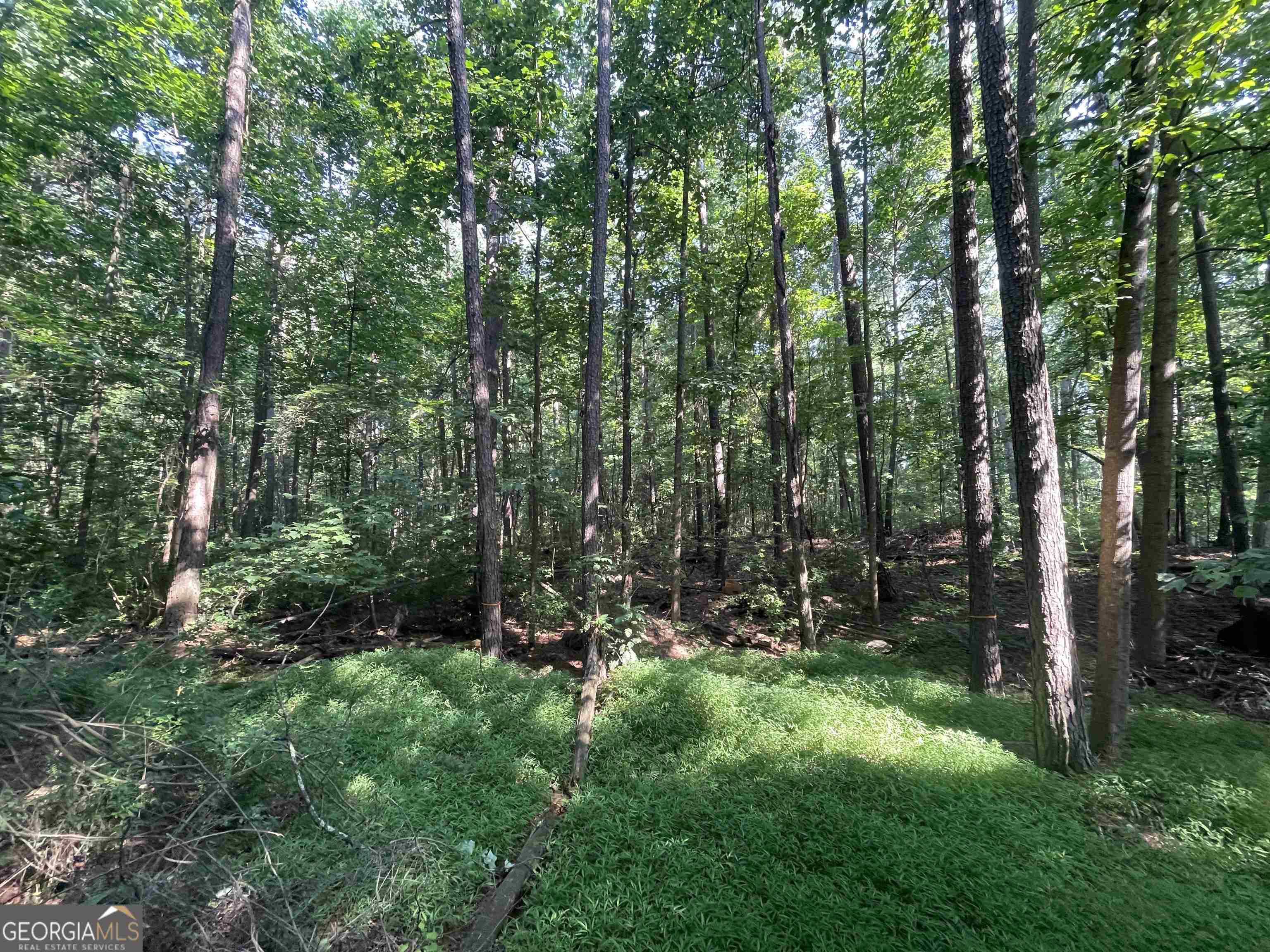 0 High Point Trail South Fulton, GA 30331 - Photo 5 of 12 a view of outdoor space and green space