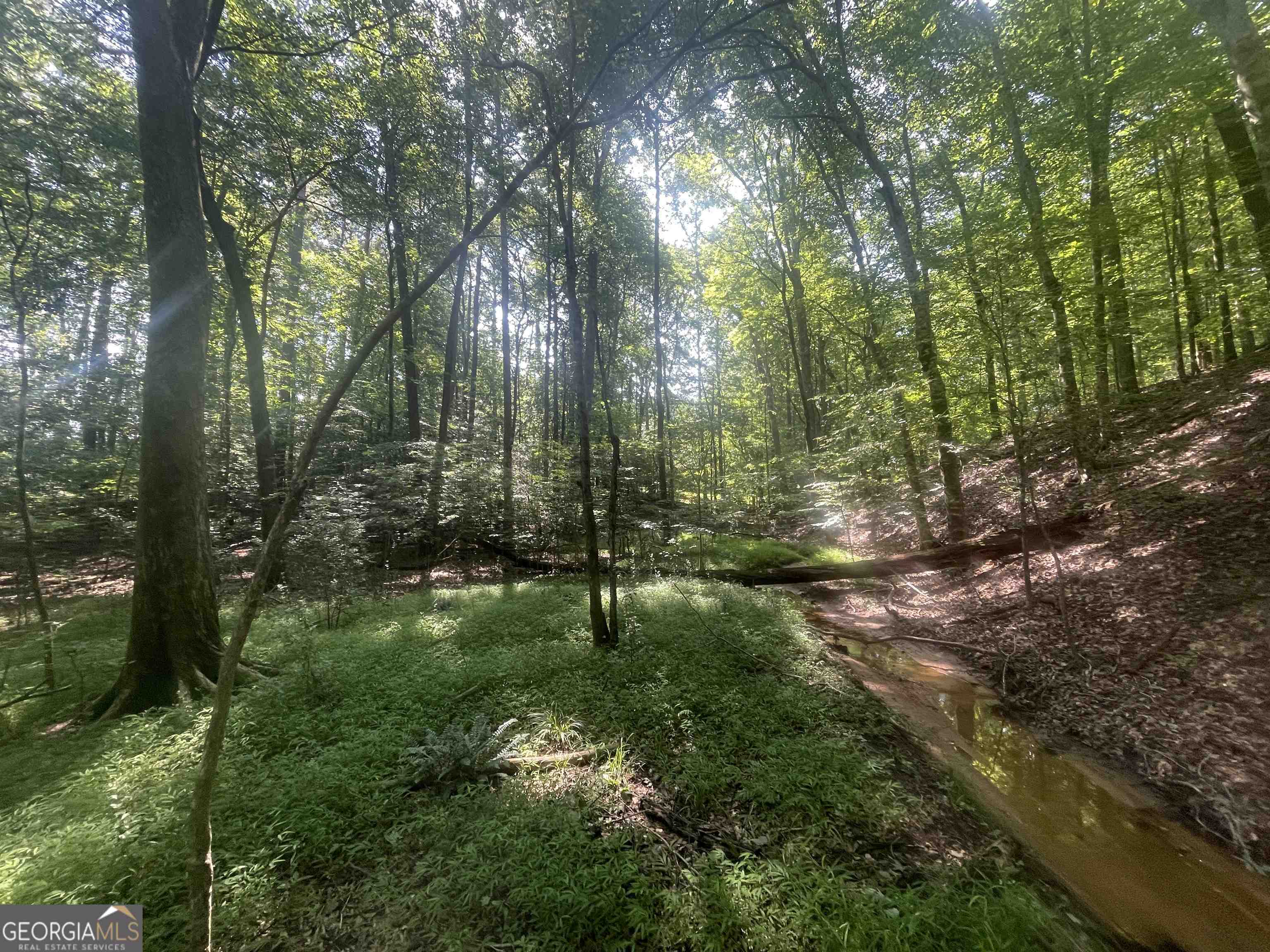 0 High Point Trail South Fulton, GA 30331 - Photo 6 of 12 a view of a forest with trees