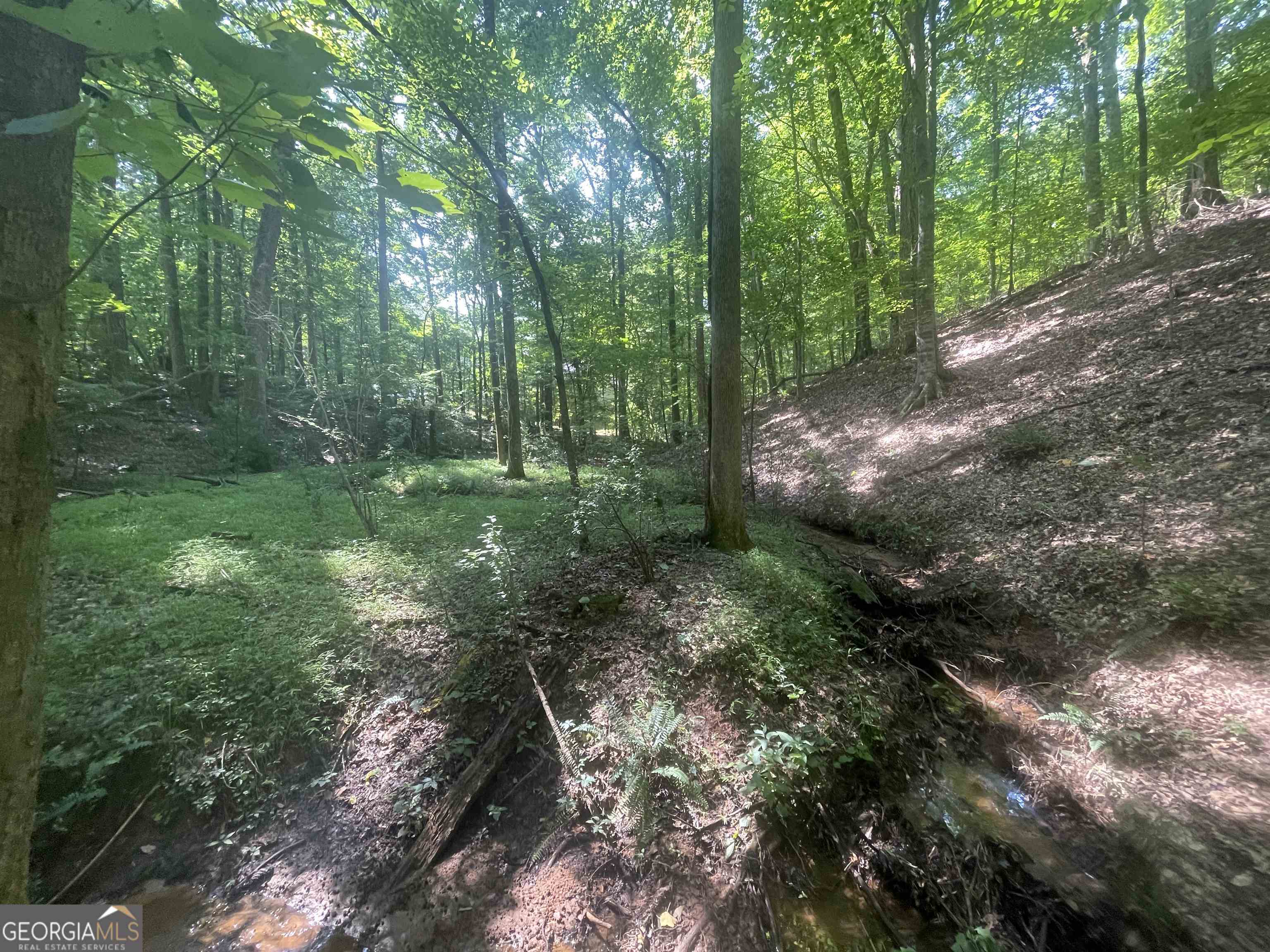 0 High Point Trail South Fulton, GA 30331 - Photo 7 of 12 a view of a forest that has large trees