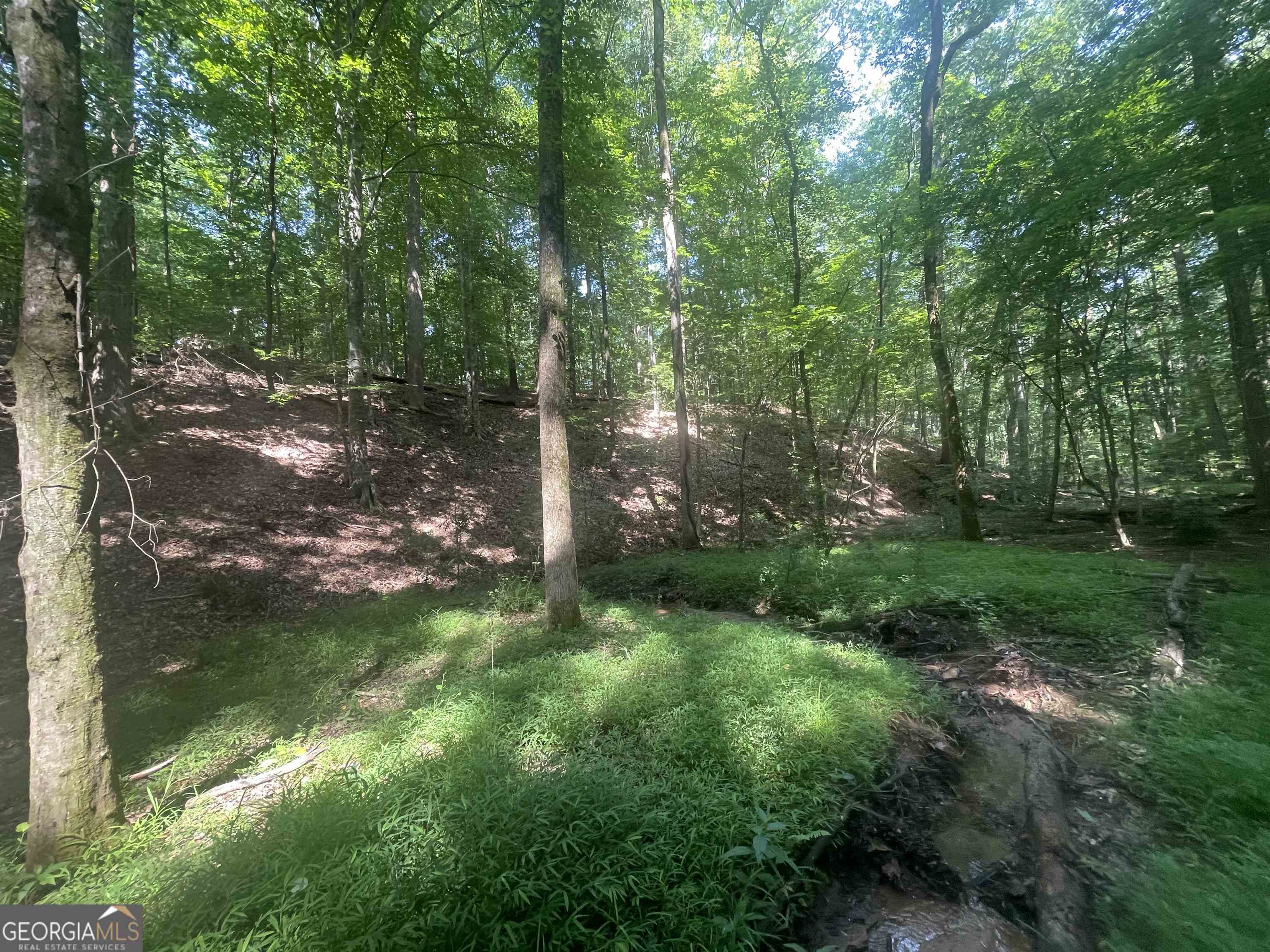 0 High Point Trail South Fulton, GA 30331 - Photo 8 of 12 a backyard of a house with lots of green space