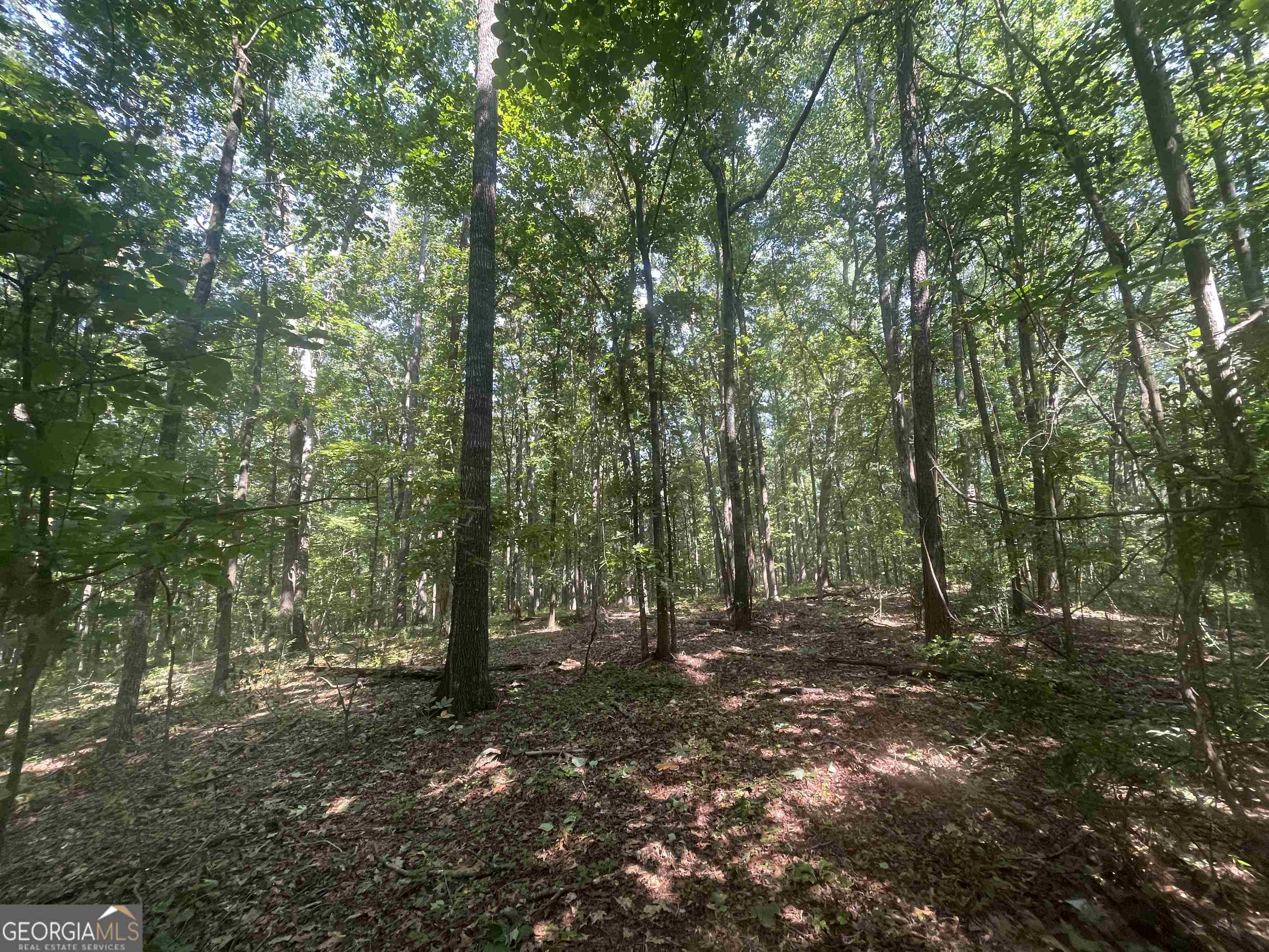 0 High Point Trail South Fulton, GA 30331 - Photo 9 of 12 a view of outdoor space and green space