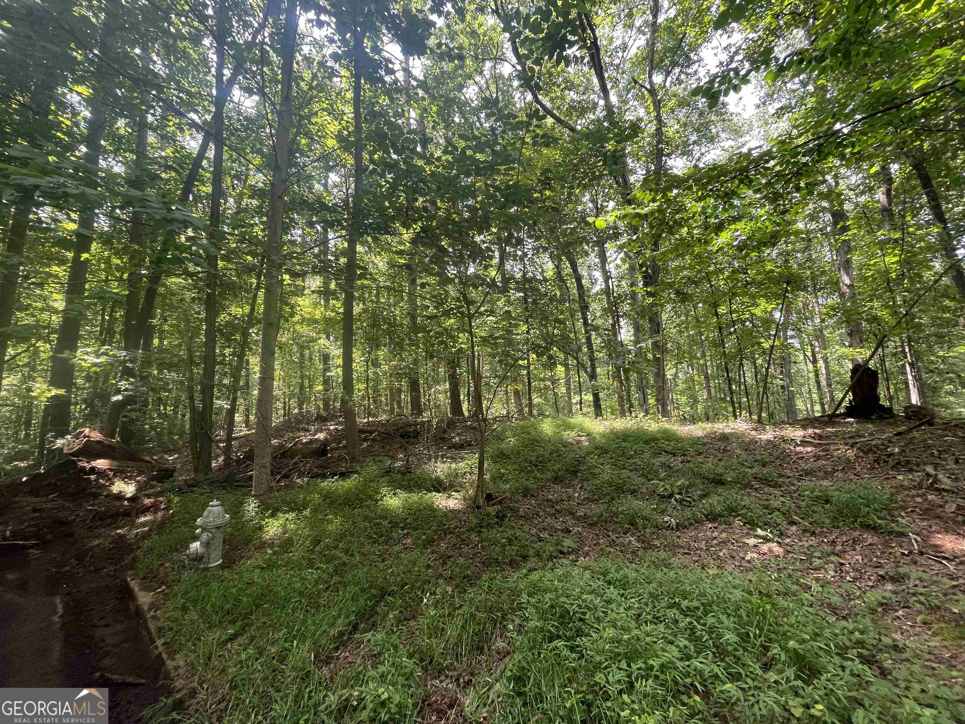 0 High Point Trail South Fulton, GA 30331 - Photo 10 of 12 a big yard with lots of green space and trees