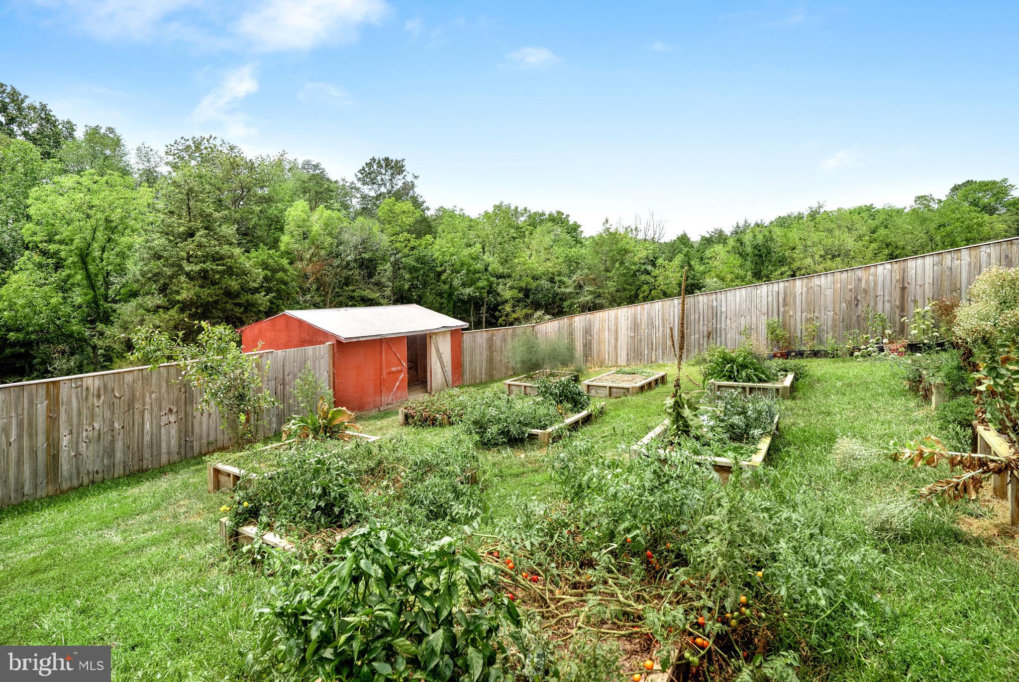 500 Ritenour Hollow Road Front Royal, VA 22630 - Photo 34 of 45 Rear yard showing shed & raised beds.