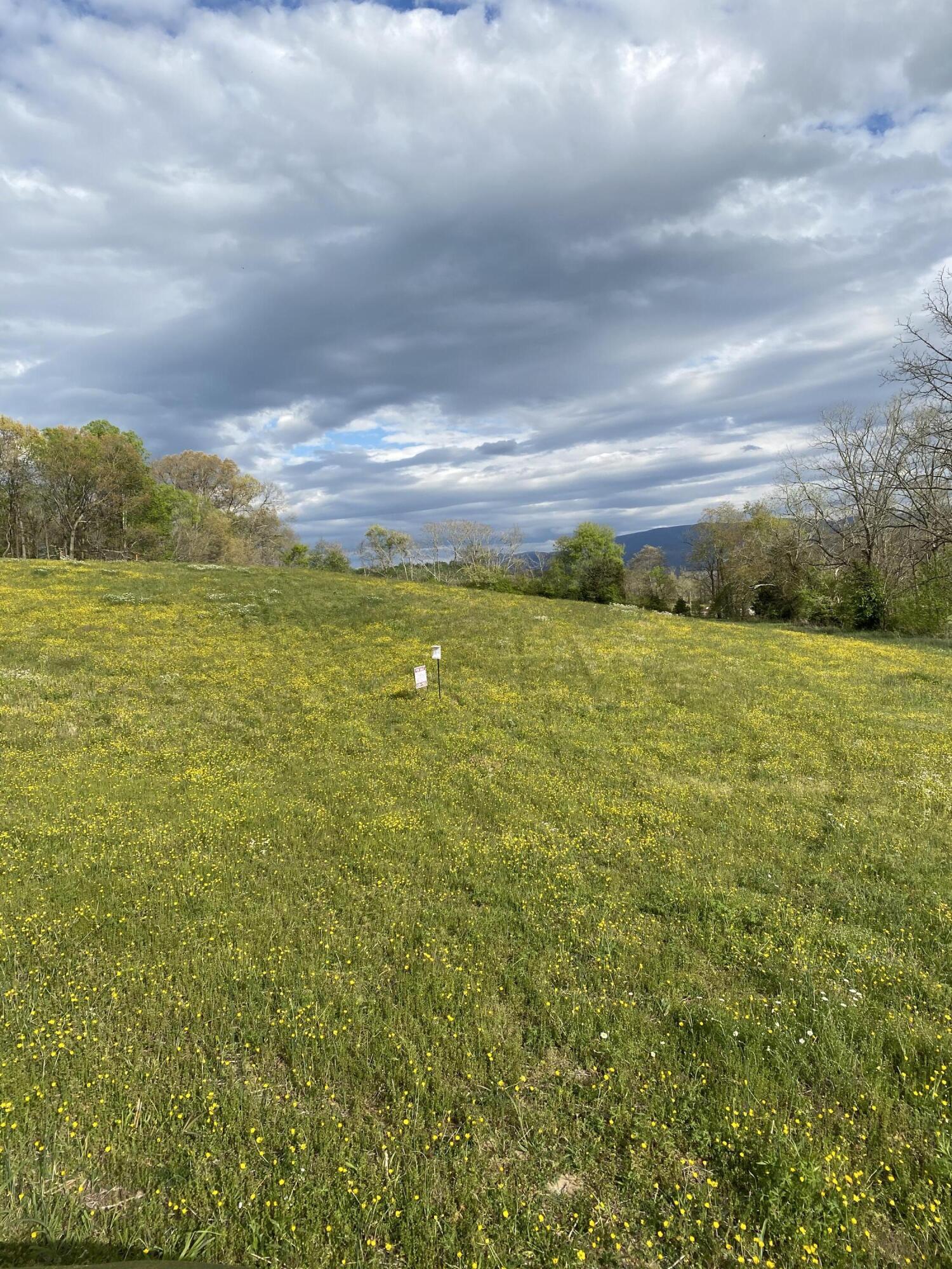 2 Shiloh Road, Unit 2 Greeneville, TN 37745 - Photo 3 of 3 E28FBF59-6697-436B-BFE9-641D5578875E