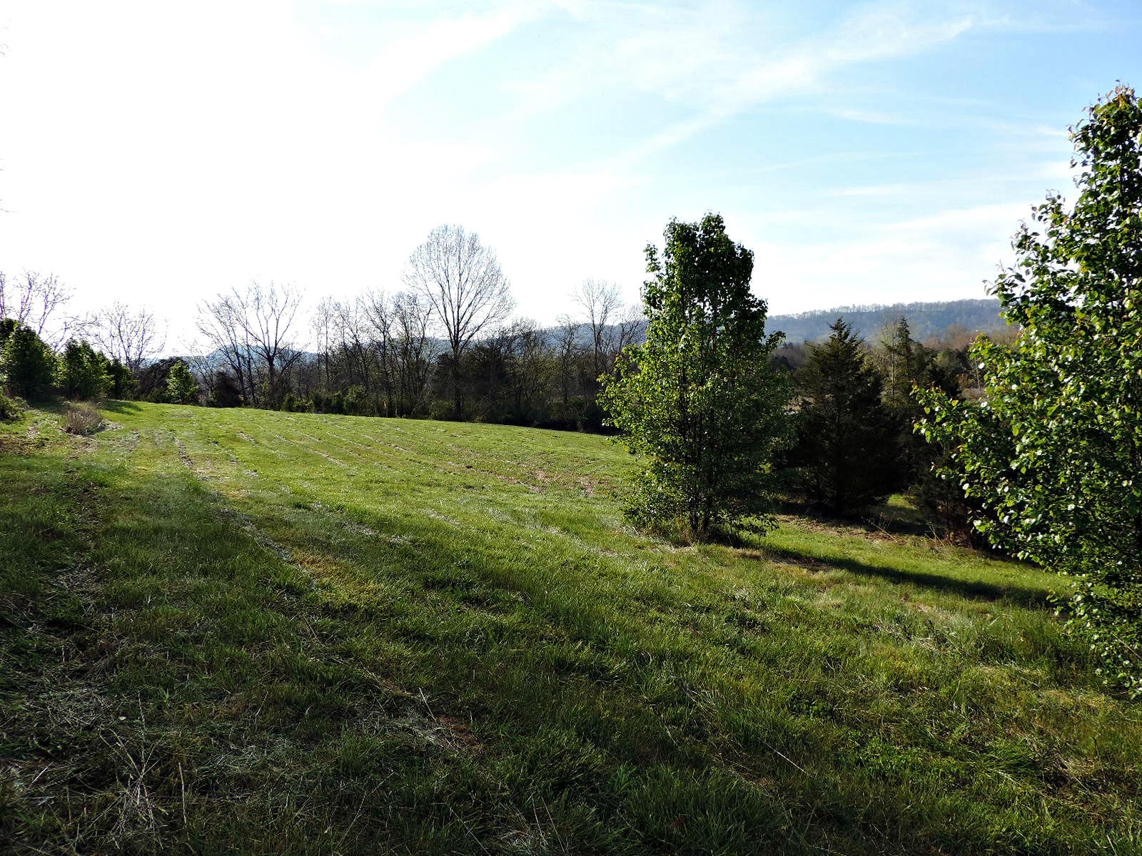 Lot 6 Eslinger Road New Market, TN 37820 - Photo 1 of 27 DSCN2806