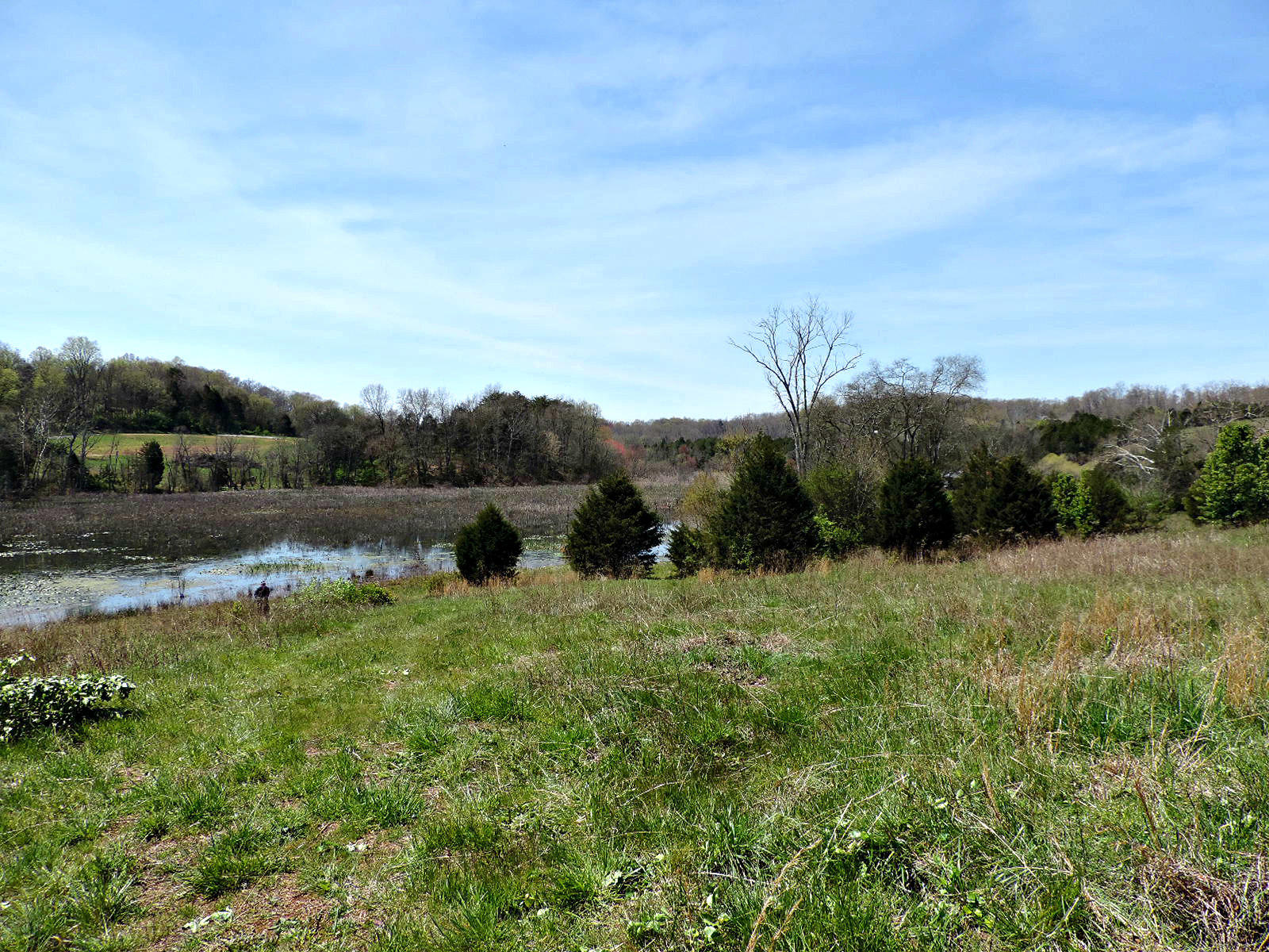 Lot 6 Eslinger Road New Market, TN 37820 - Photo 14 of 27 DSCN2786