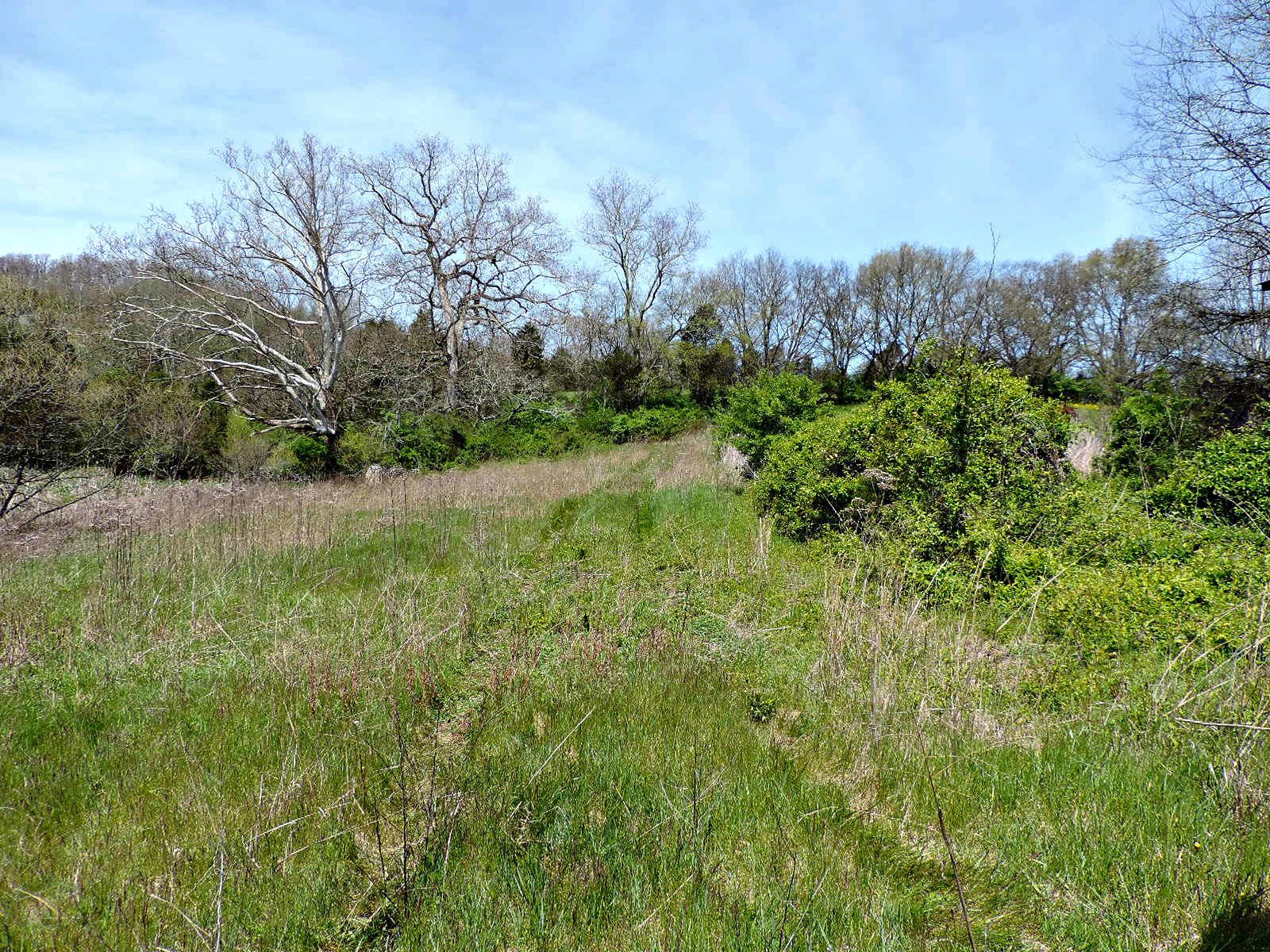 Lot 6 Eslinger Road New Market, TN 37820 - Photo 22 of 27 DSCN2800