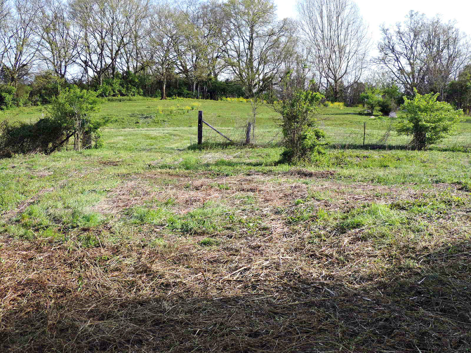 Lot 6 Eslinger Road New Market, TN 37820 - Photo 24 of 27 DSCN2813