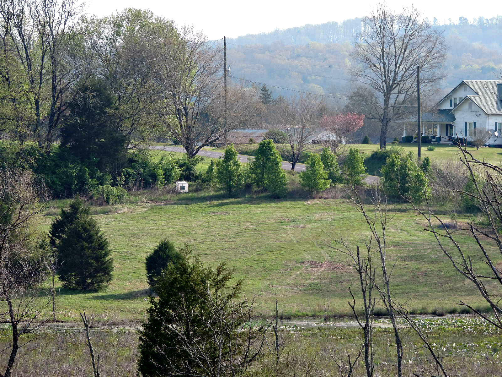 Lot 6 Eslinger Road New Market, TN 37820 - Photo 5 of 27 DSCN2816