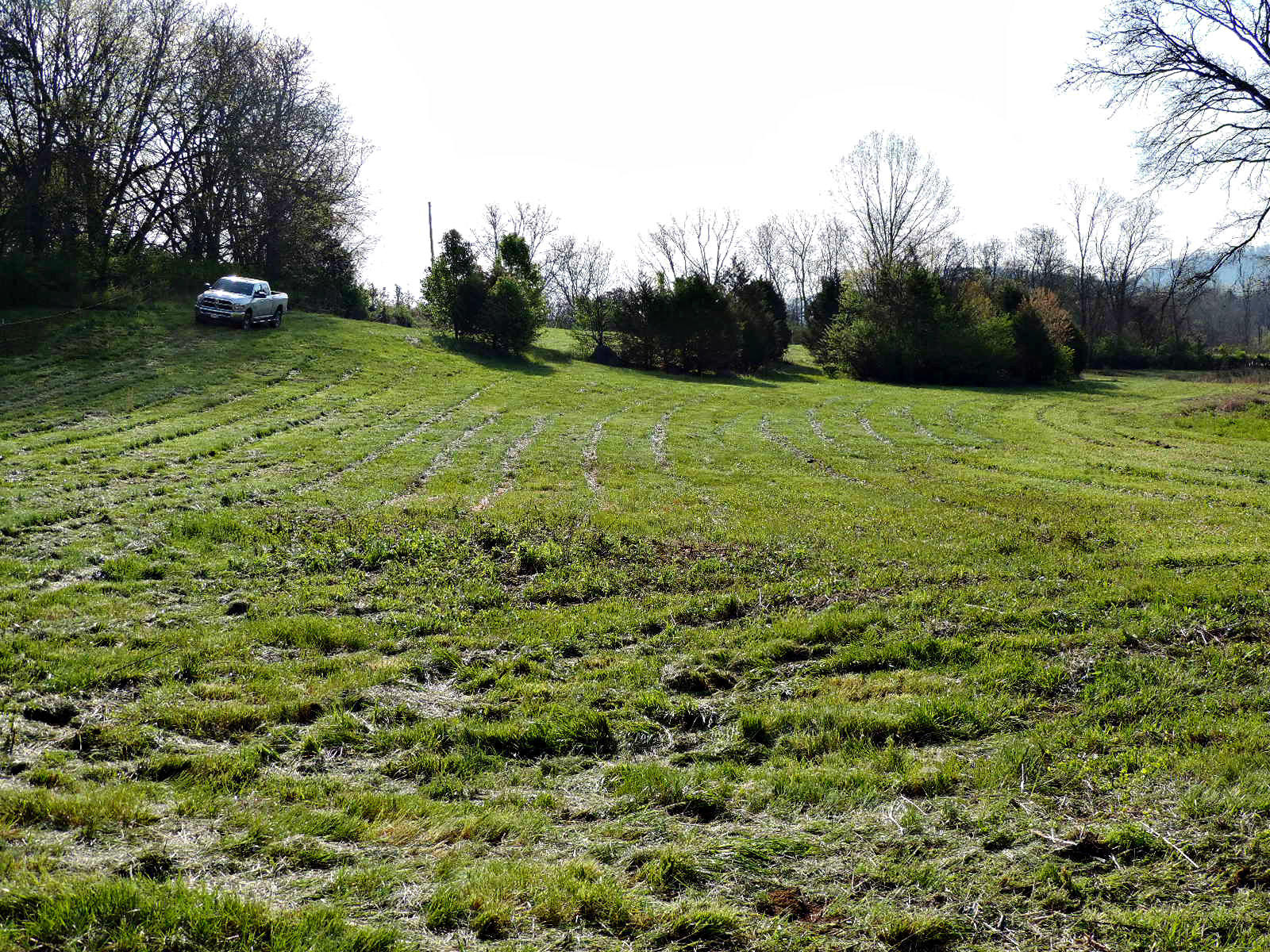 Lot 6 Eslinger Road New Market, TN 37820 - Photo 7 of 27 DSCN2810