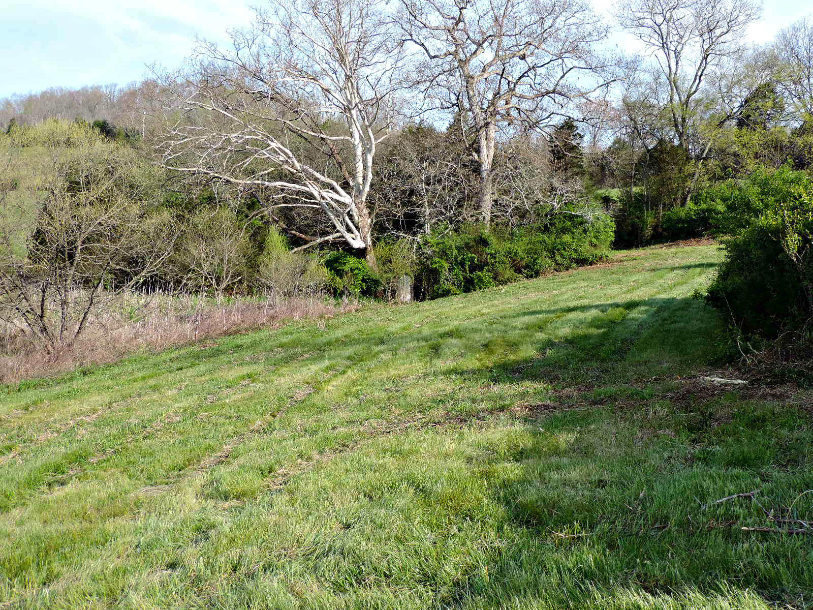 Lot 6 Eslinger Road New Market, TN 37820 - Photo 8 of 27 DSCN2812