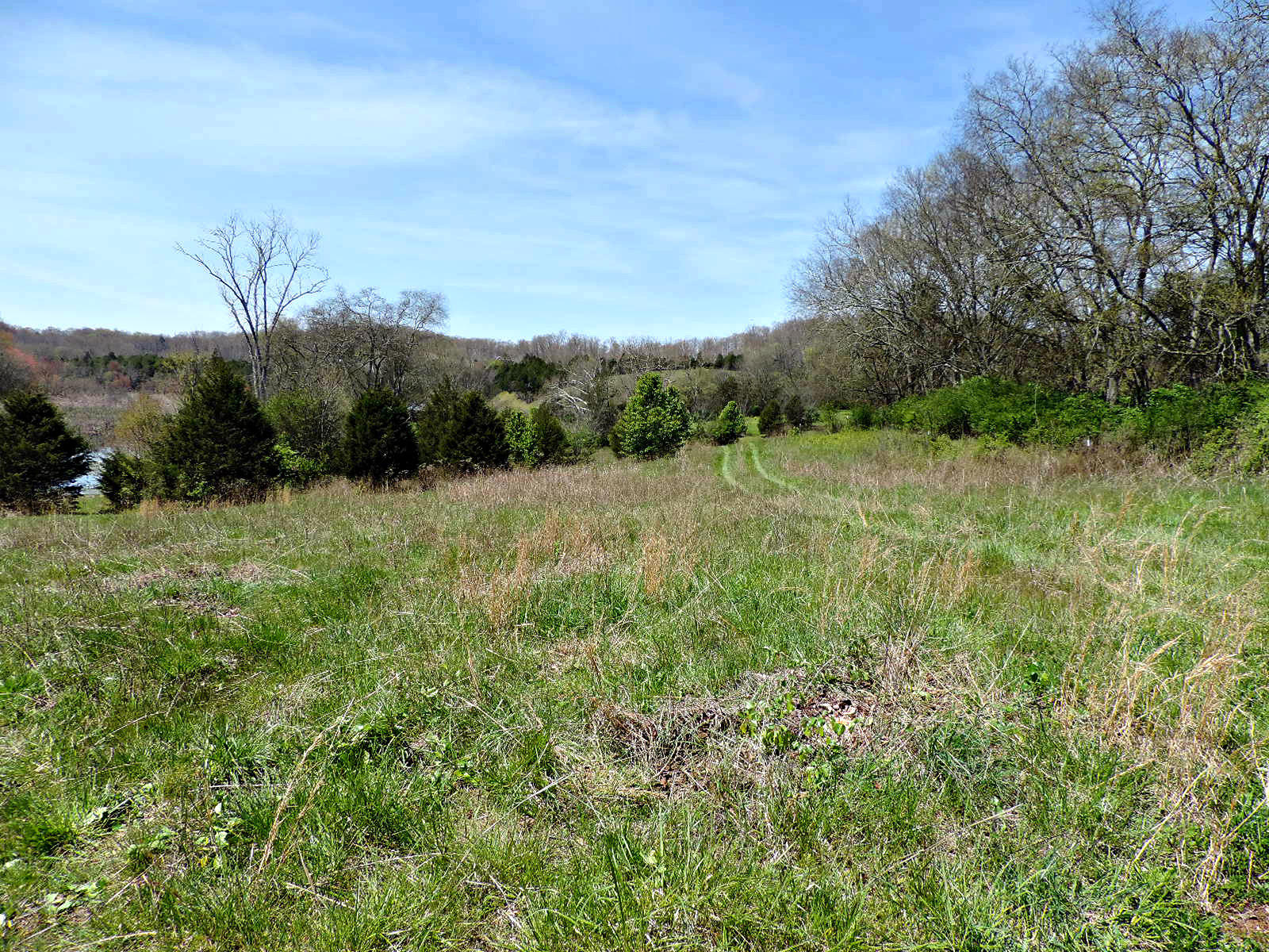 Lot 6 Eslinger Road New Market, TN 37820 - Photo 9 of 27 DSCN2785