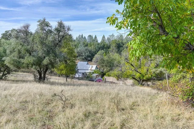 a view of a dry yard with trees