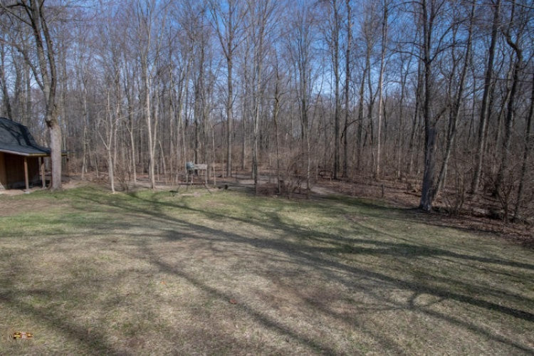 3059 Detroit Road Niles, MI 49120 - Photo 36 of 49 3059 Detroit Rd Niles Yard 2