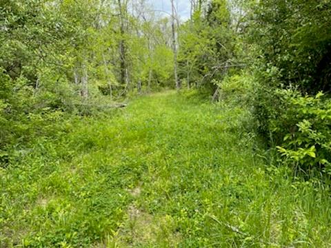 0 Evans Hill Road Rising Sun, IN 47040 - Photo 2 of 3