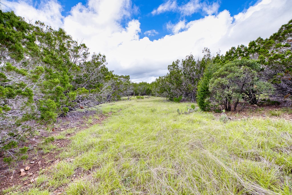 1702 Pinon Loop East Camp Wood, TX 78833 - Photo 14 of 19